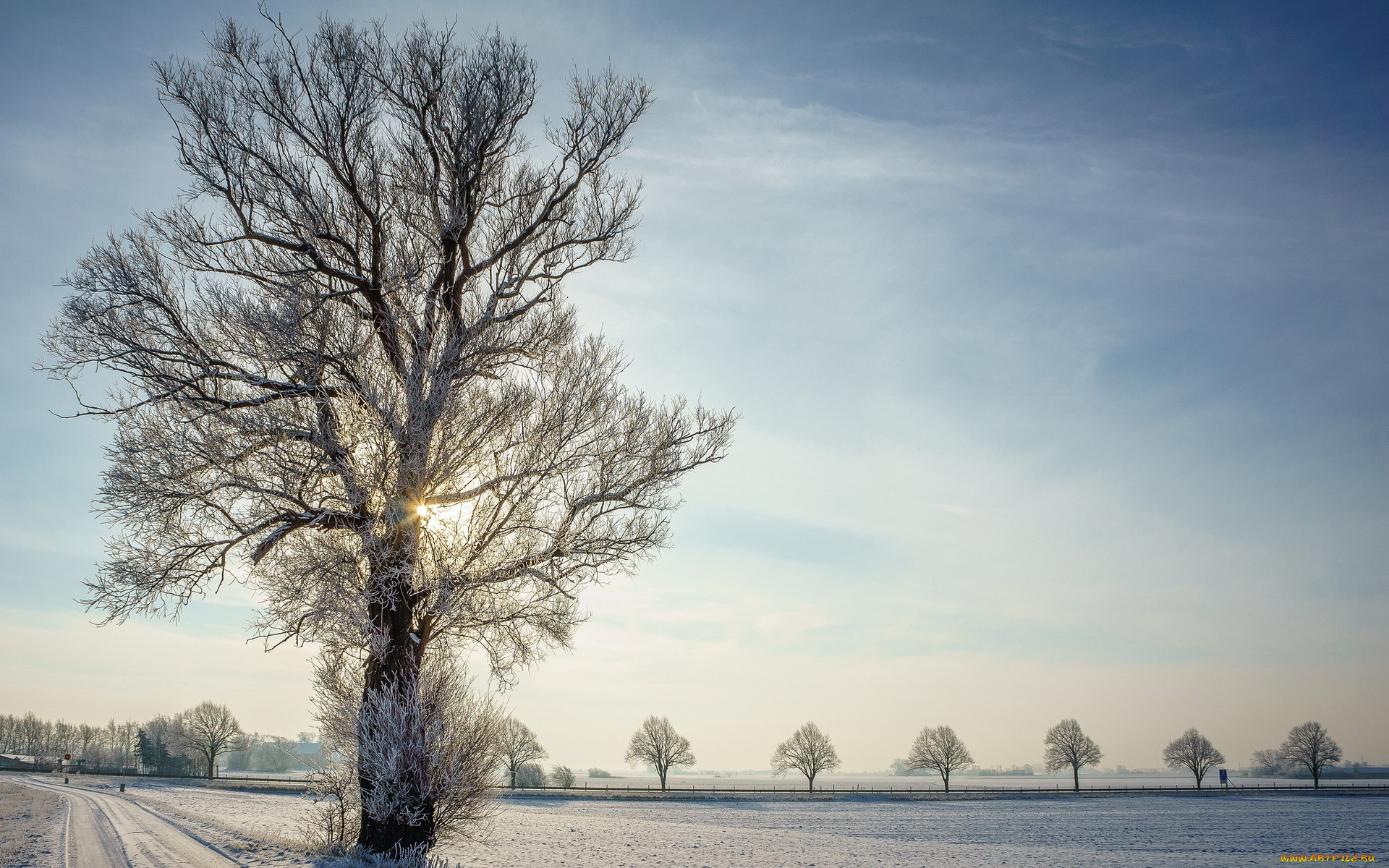 природа, зима, дорога, дерево, снег