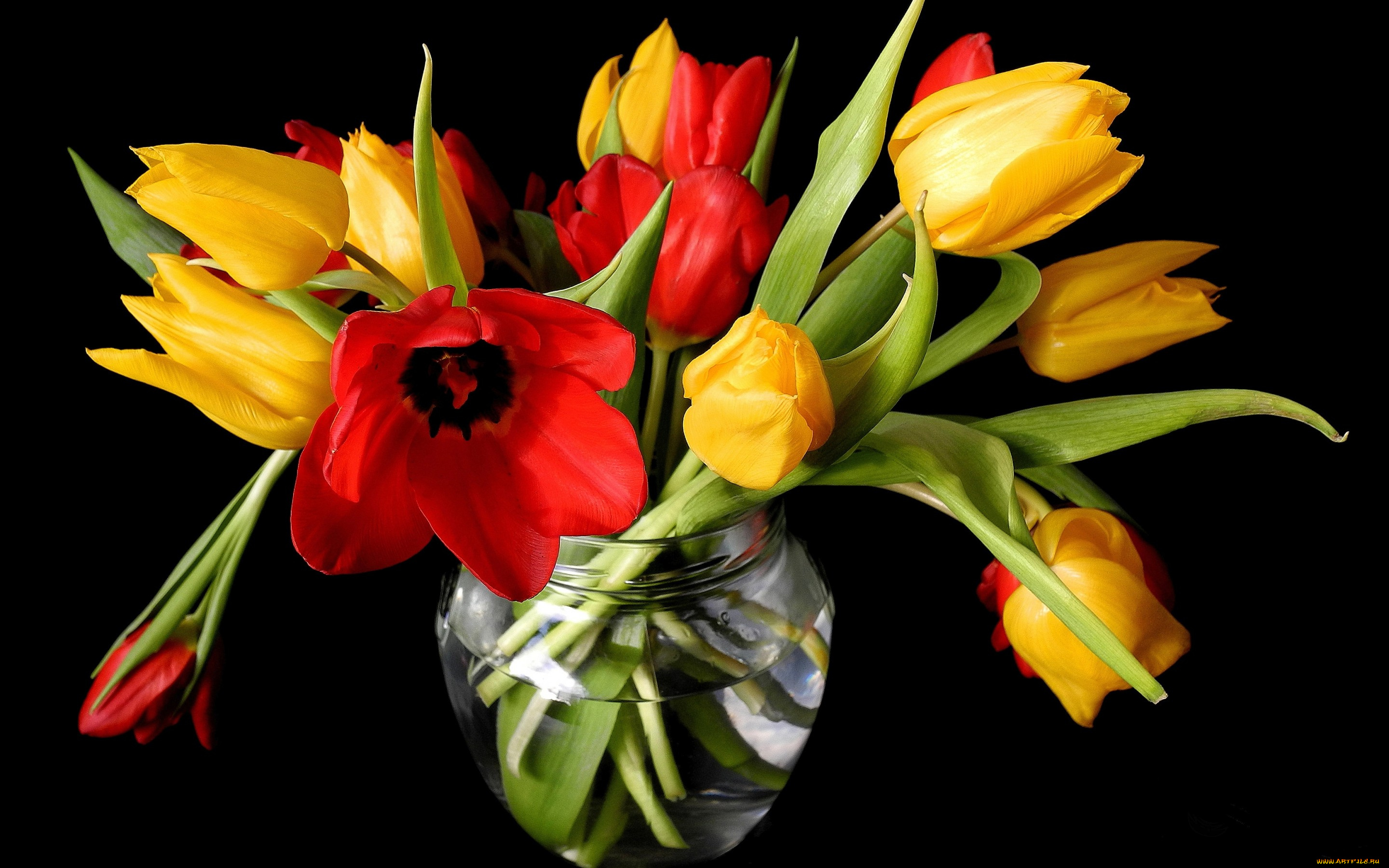 цветы, тюльпаны, ваза, красные, желтые, черный, фон, бутоны, весна