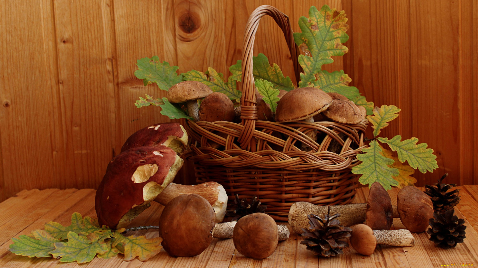 еда, грибы, , грибные, блюда, боровик, подберезовики, натюрморт, осень