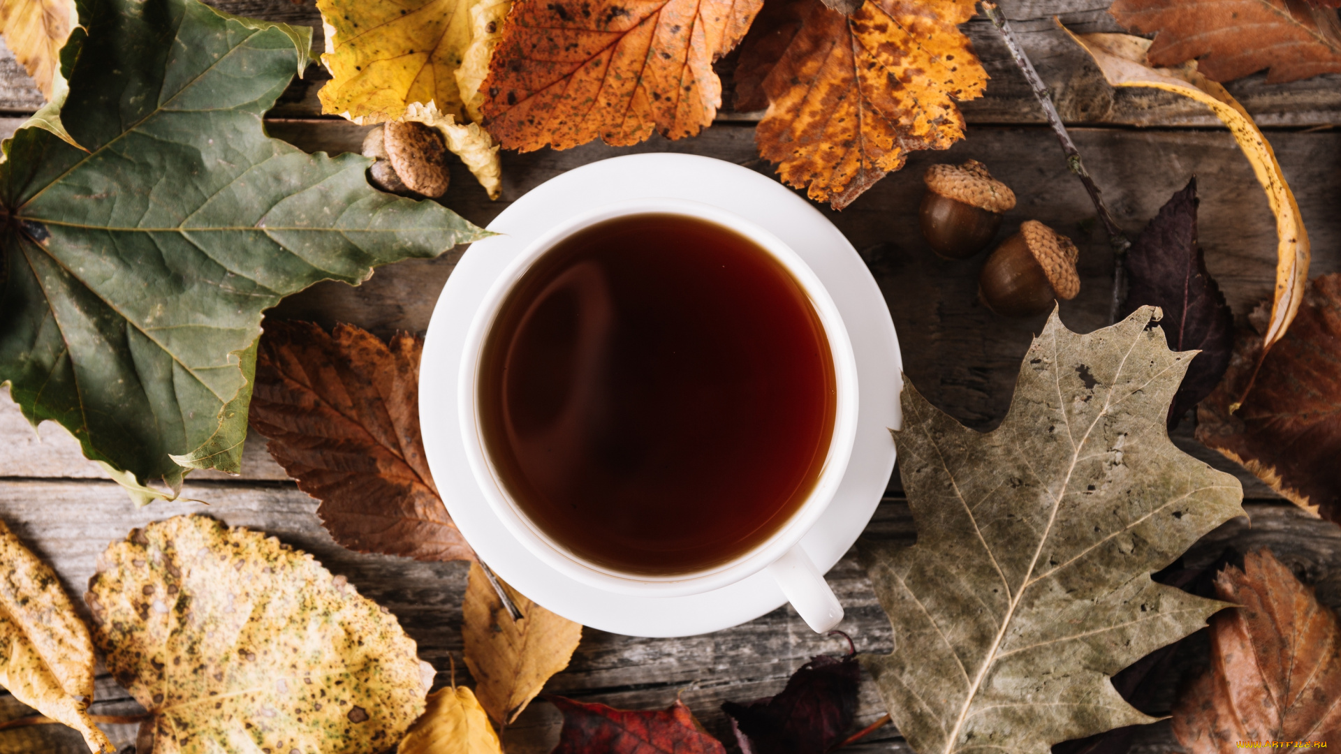 еда, напитки, , Чай, чай, осень, листья, напиток