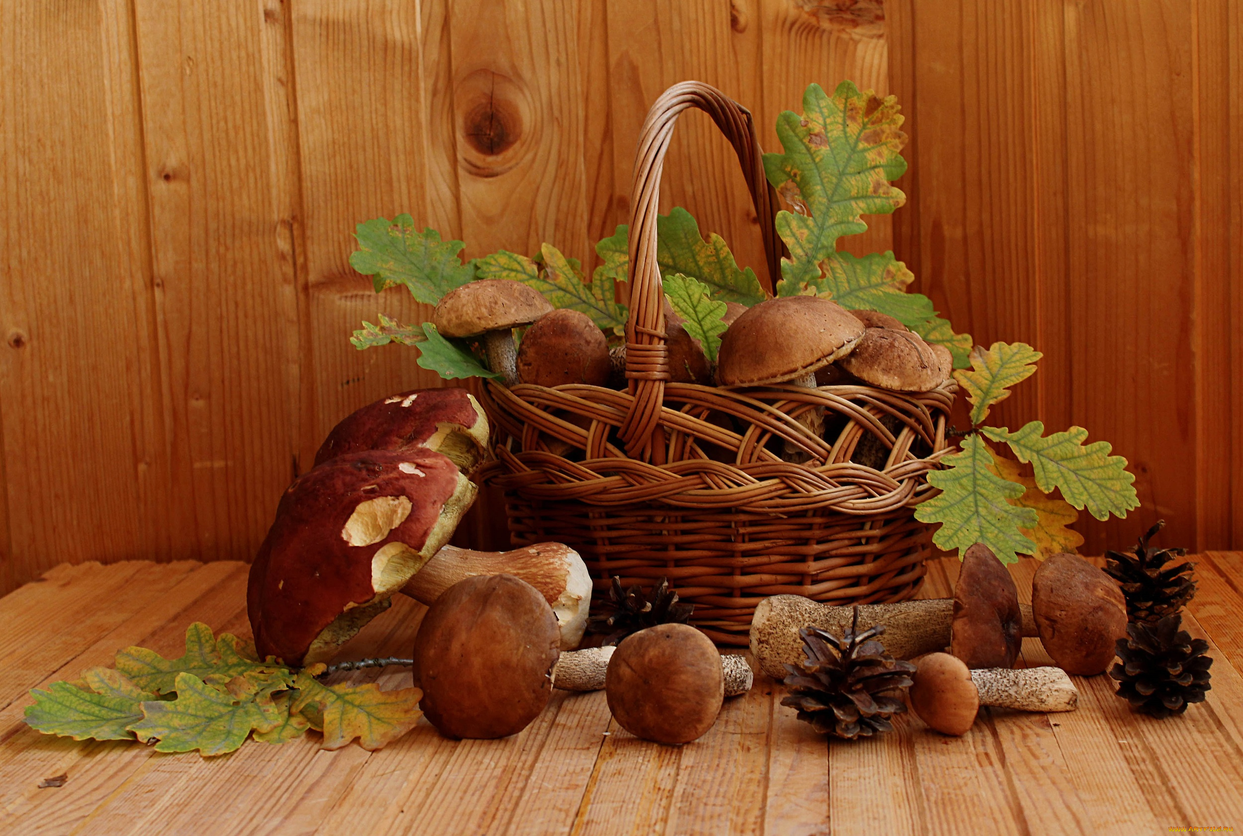 еда, грибы, , грибные, блюда, боровик, подберезовики, натюрморт, осень