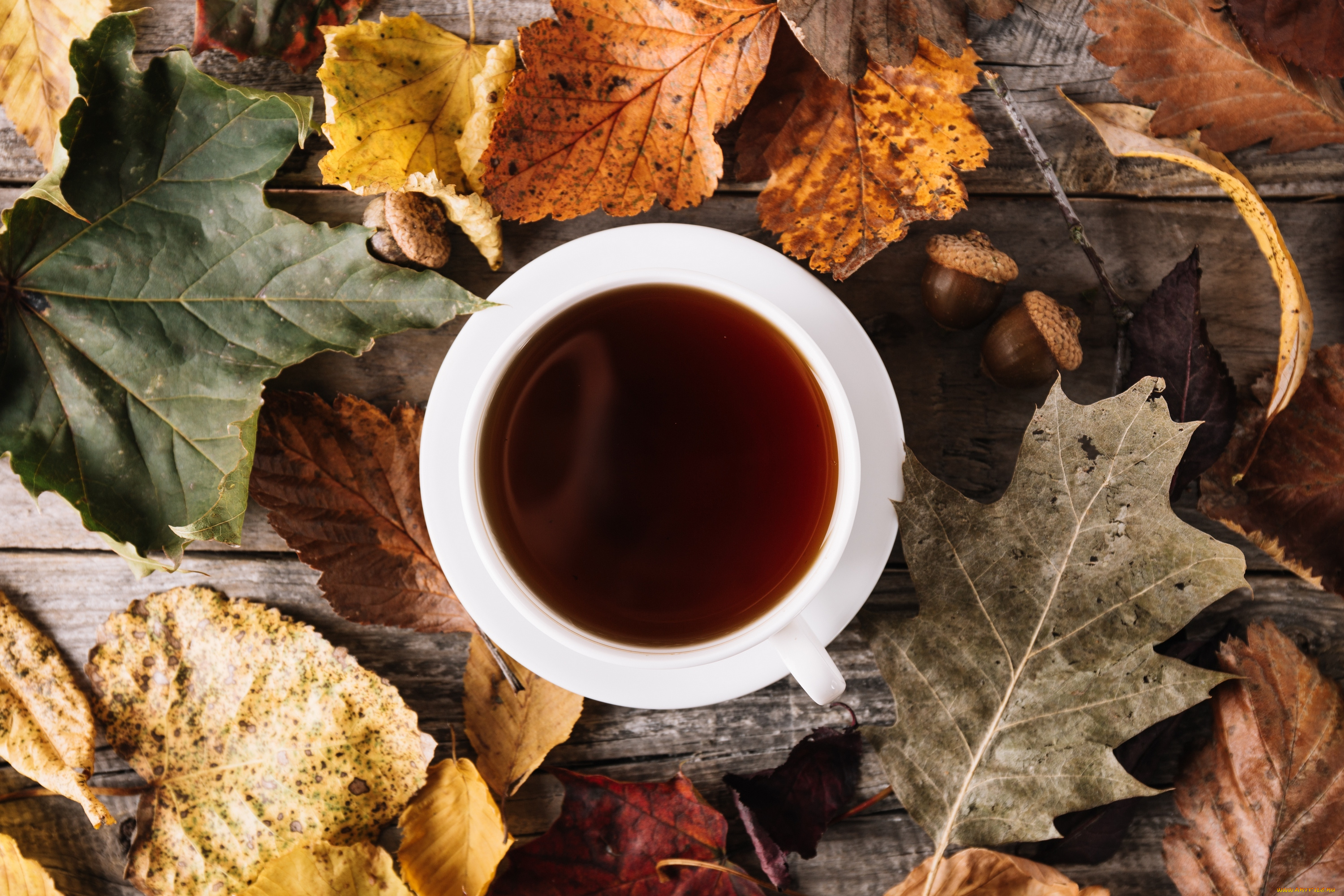 еда, напитки, , Чай, чай, осень, листья, напиток