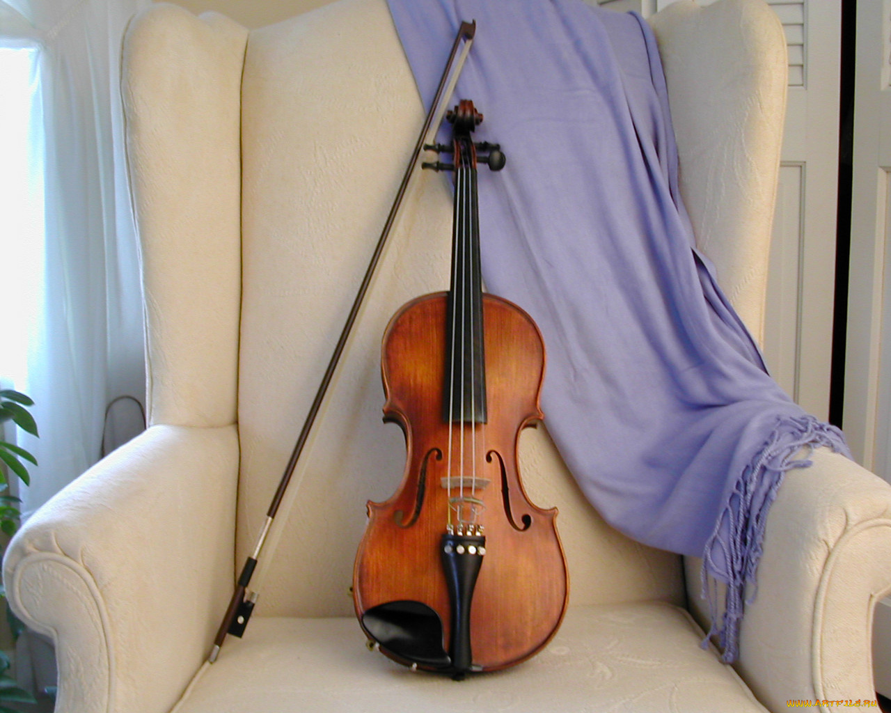 музыка, музыкальные, инструменты, скрипка