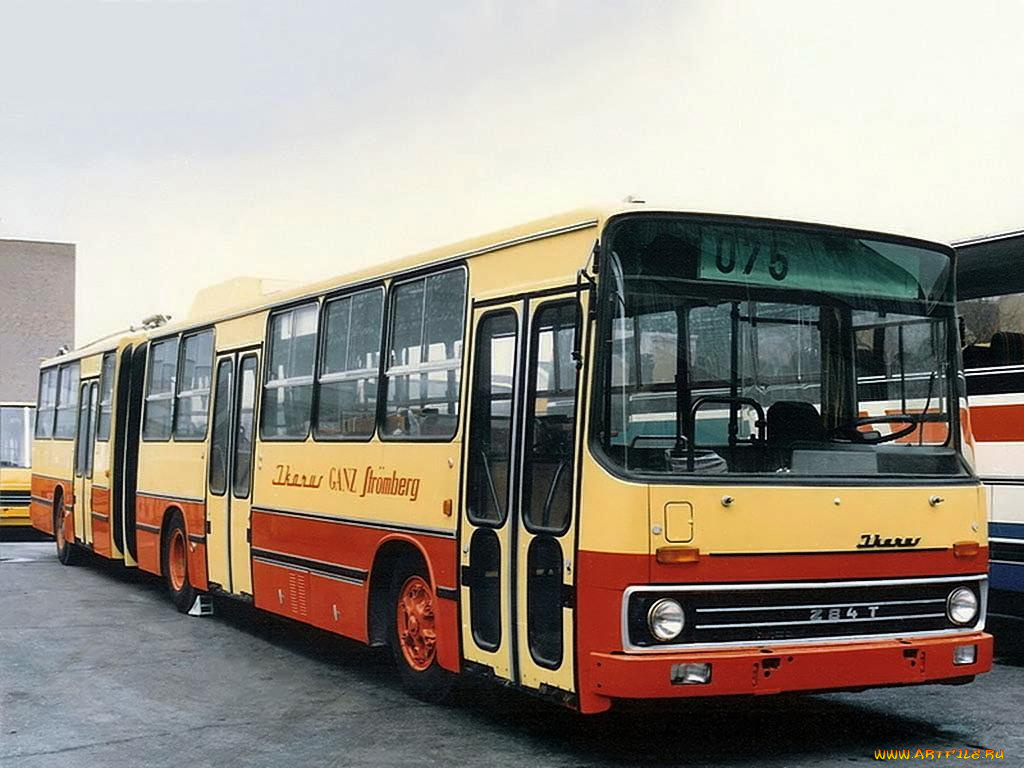 284t, автомобили, автобусы