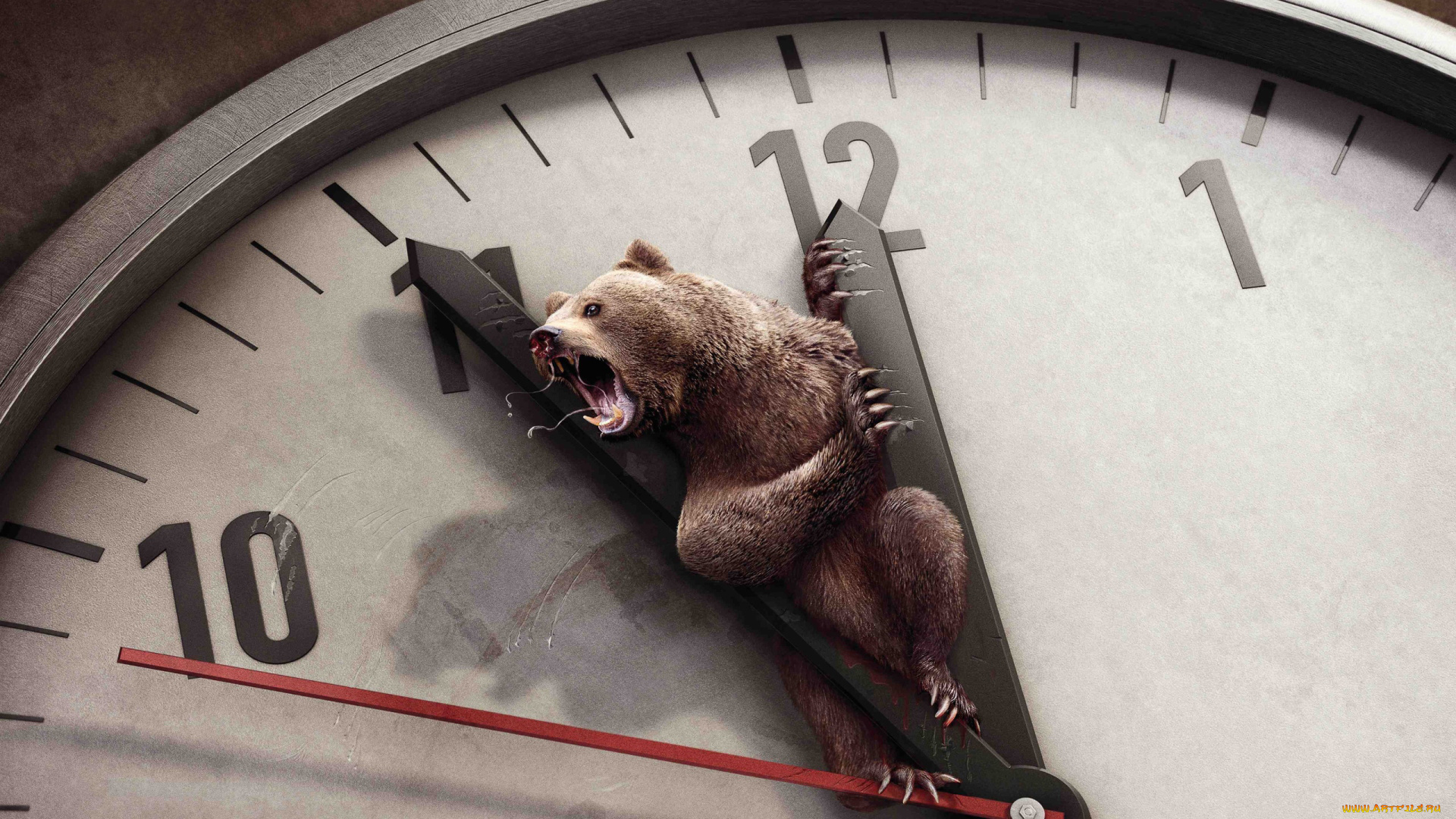 3д, графика, animals, животные, медведь, часы
