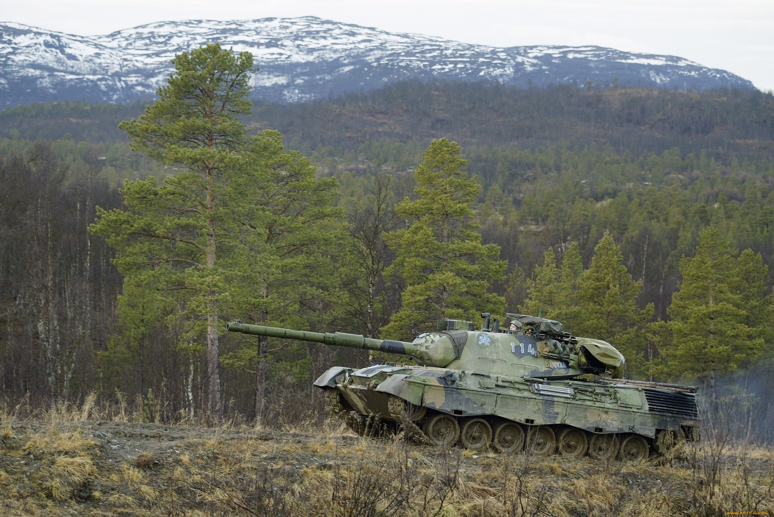 техника, военная, leopard1, танк, лес