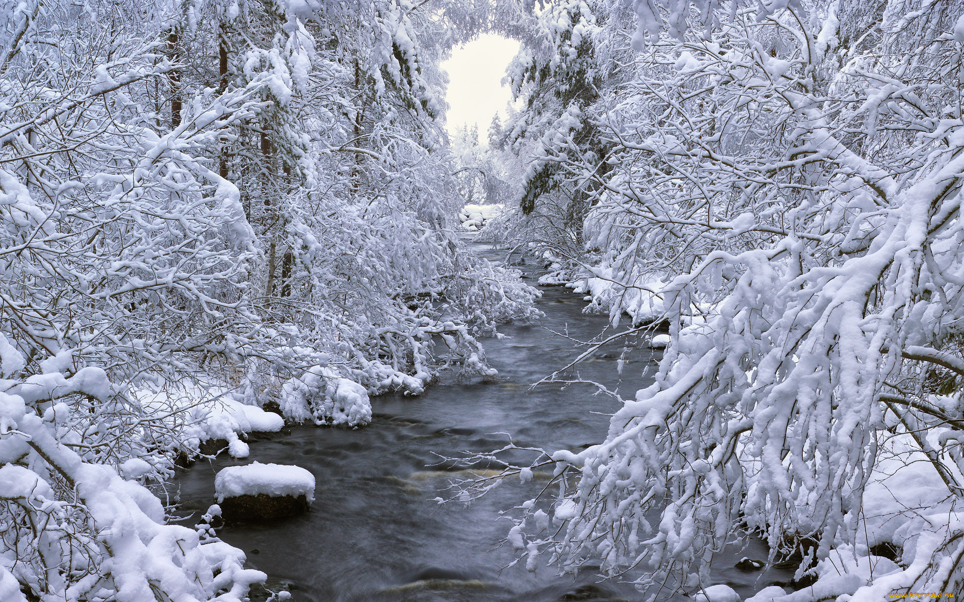 природа, зима, река, деревья, снег, швеция