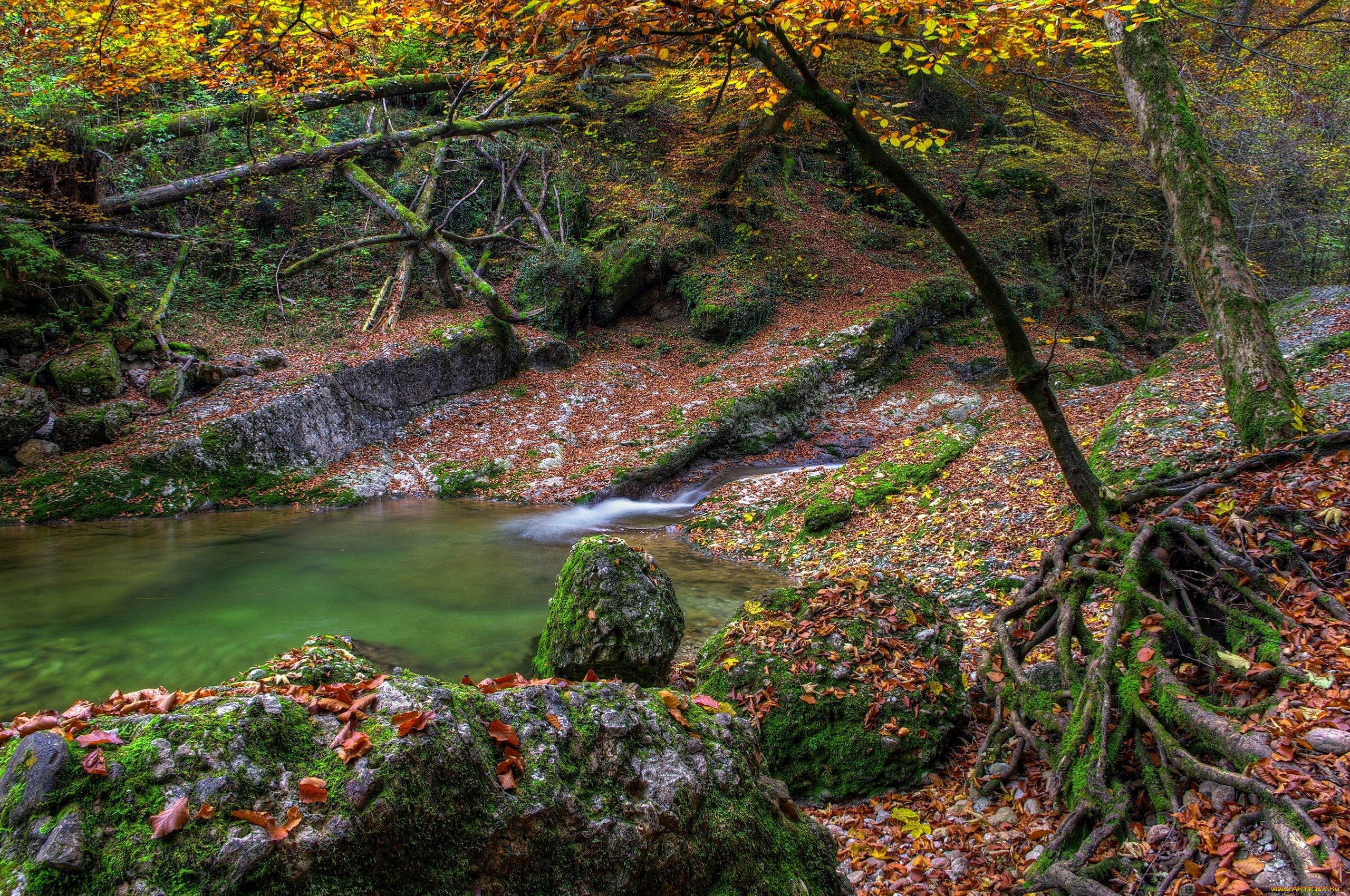 природа, лес, осень, ручей, камни, листья, деревья