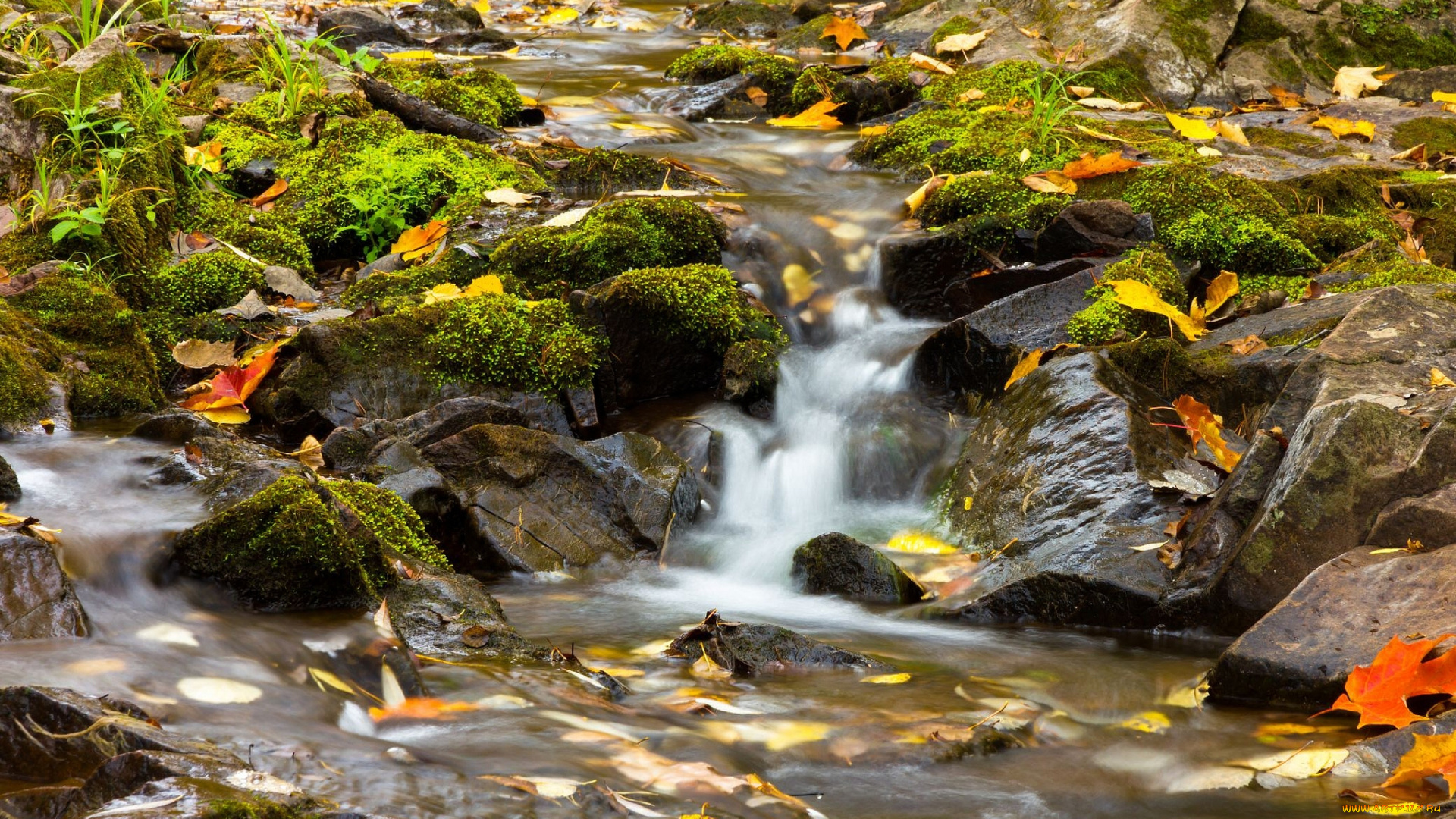 amity, creek, duluth, minnesota, природа, реки, озера, lester, park, лестер, парк, миннесота, дулут, осень, листья, камни, речка, ручей