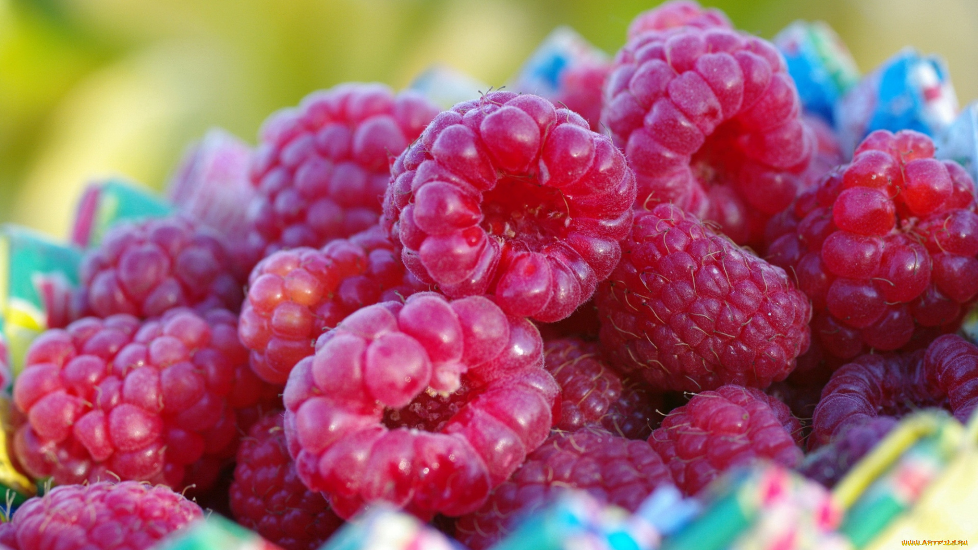 еда малина природа food raspberry nature без смс