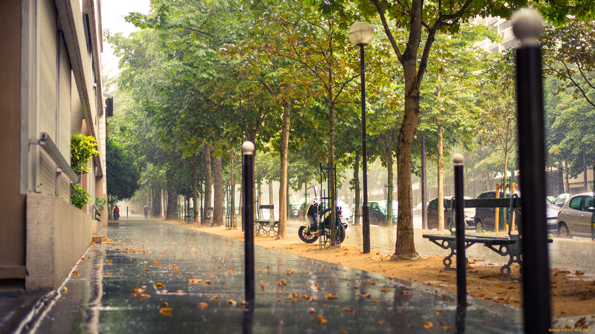 париж, города, франция, дождь, улица, дерево, машины