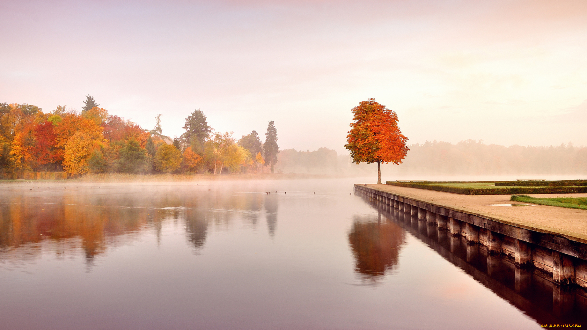 природа, реки, озера, осень, пейзаж, деревья, листья, оранжевые, желтые, вода, утро, туман