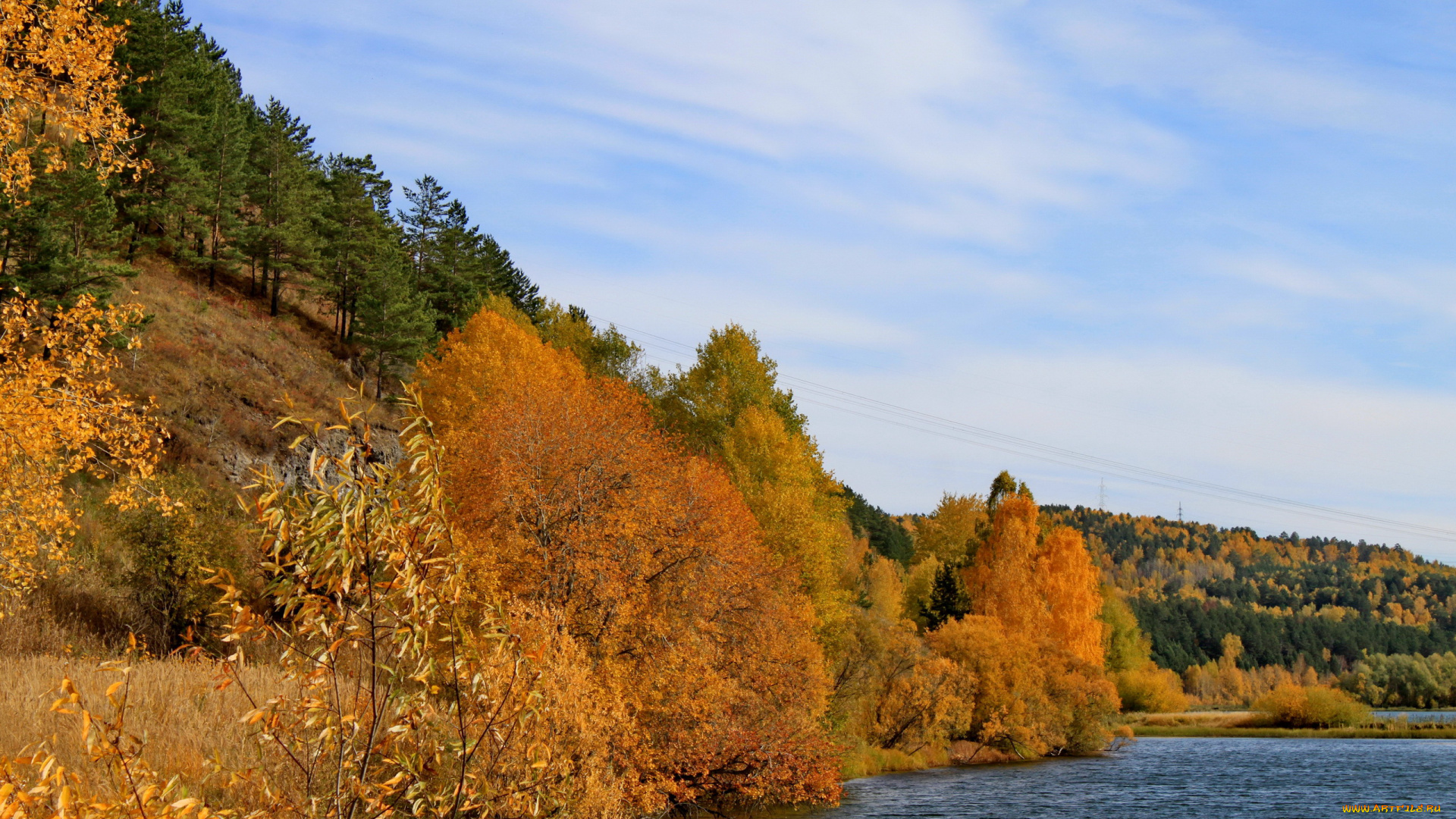 природа, реки, озера, река, лес, осень