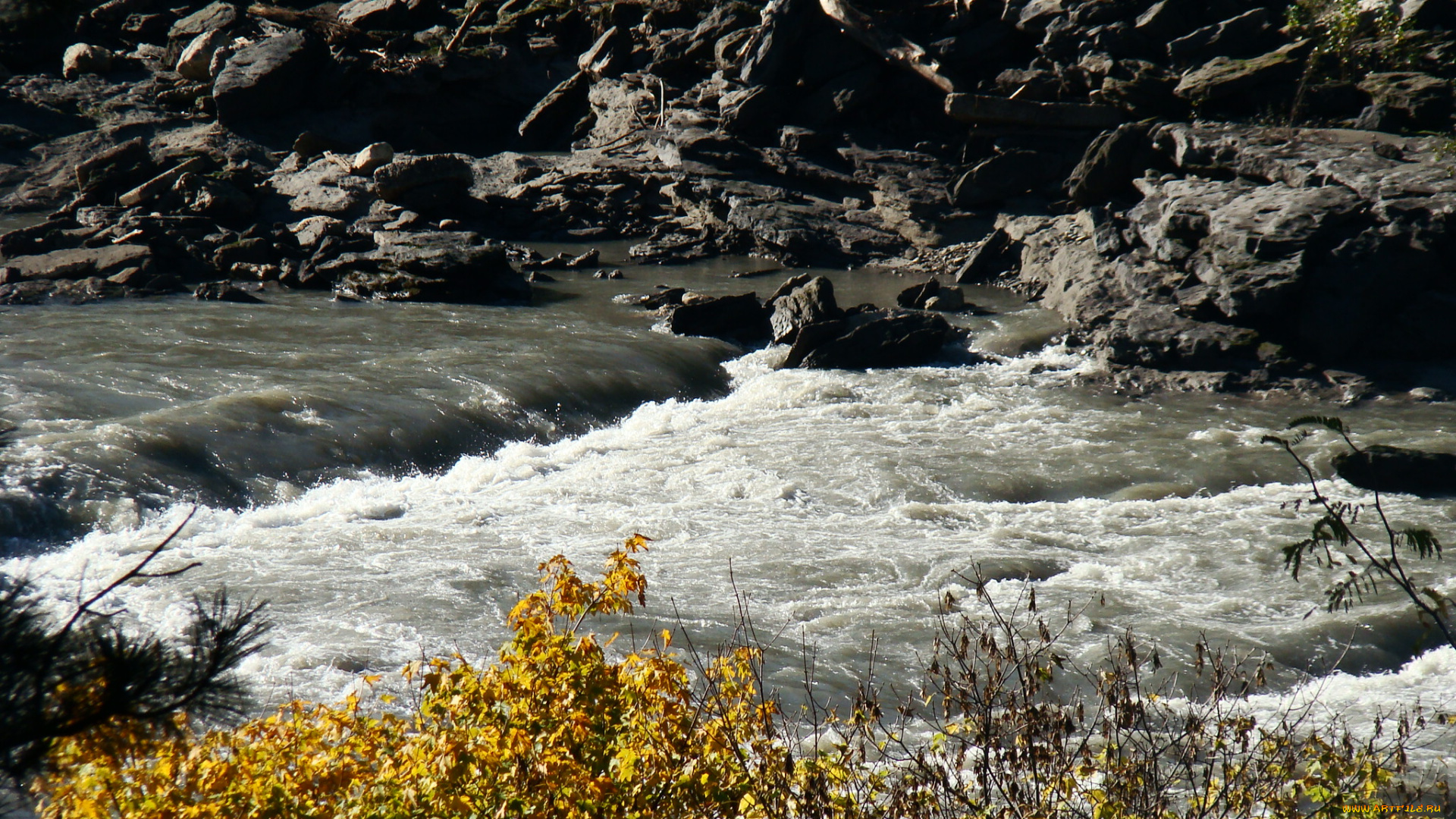 природа, реки, озера, вода, парк