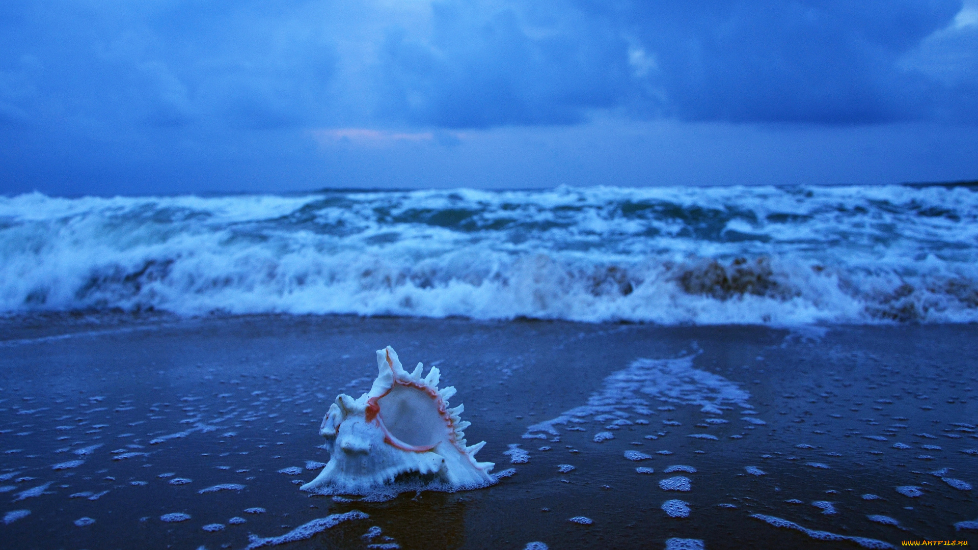 puri, orissa, india, природа, моря, океаны, индия, bay, of, bengal, пури, волны, ракушка, бенгальский, залив