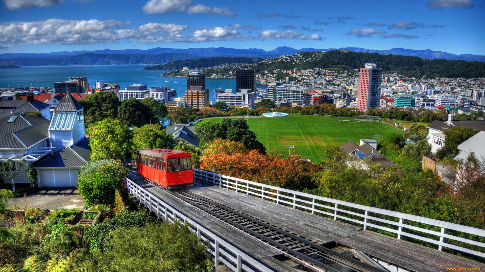 wellington, новая, зеландия, города, веллингтон, дома, панорама