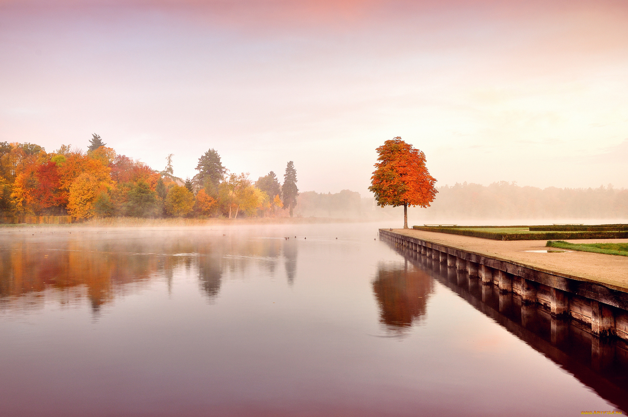 природа, реки, озера, осень, пейзаж, деревья, листья, оранжевые, желтые, вода, утро, туман