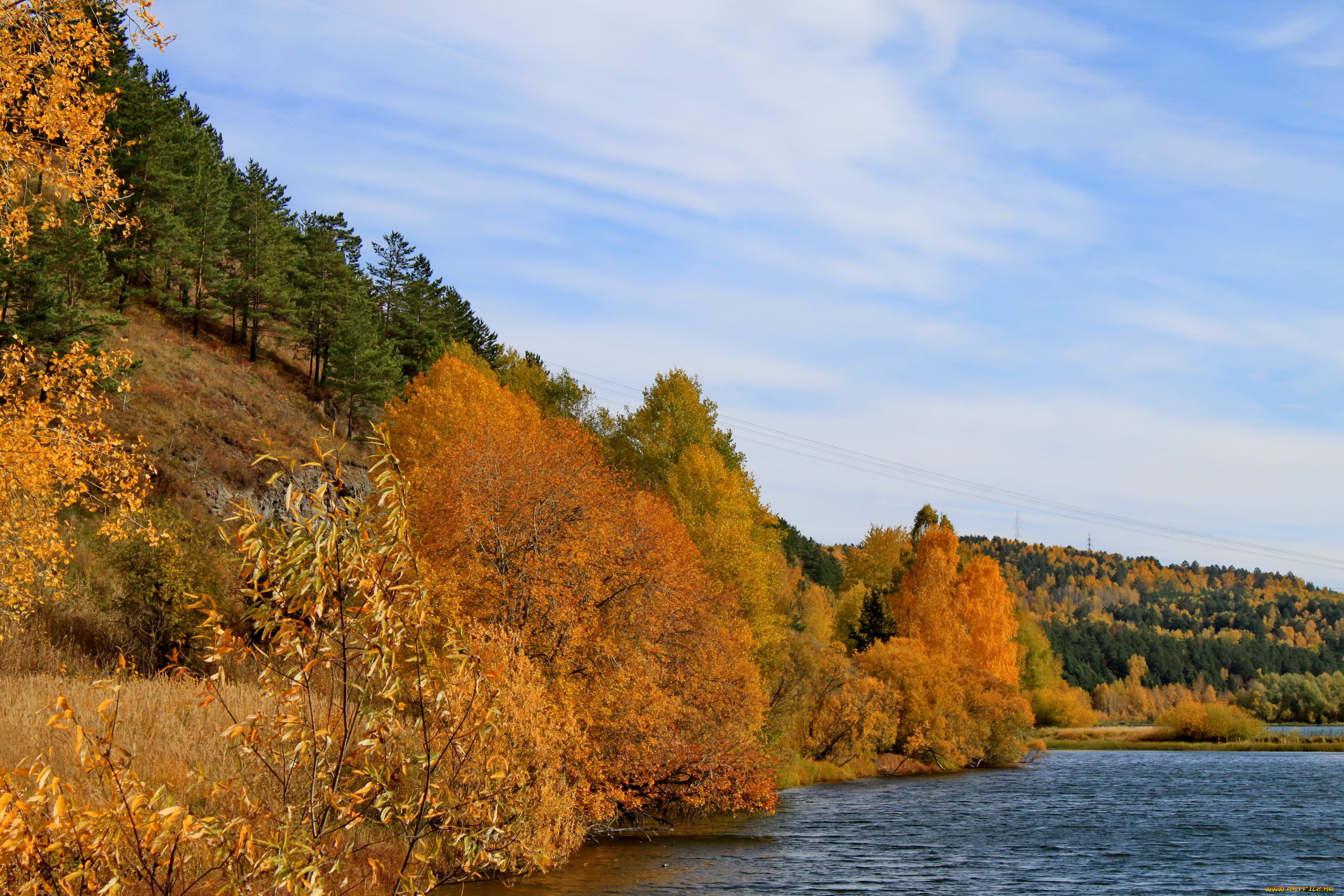 природа, реки, озера, река, лес, осень