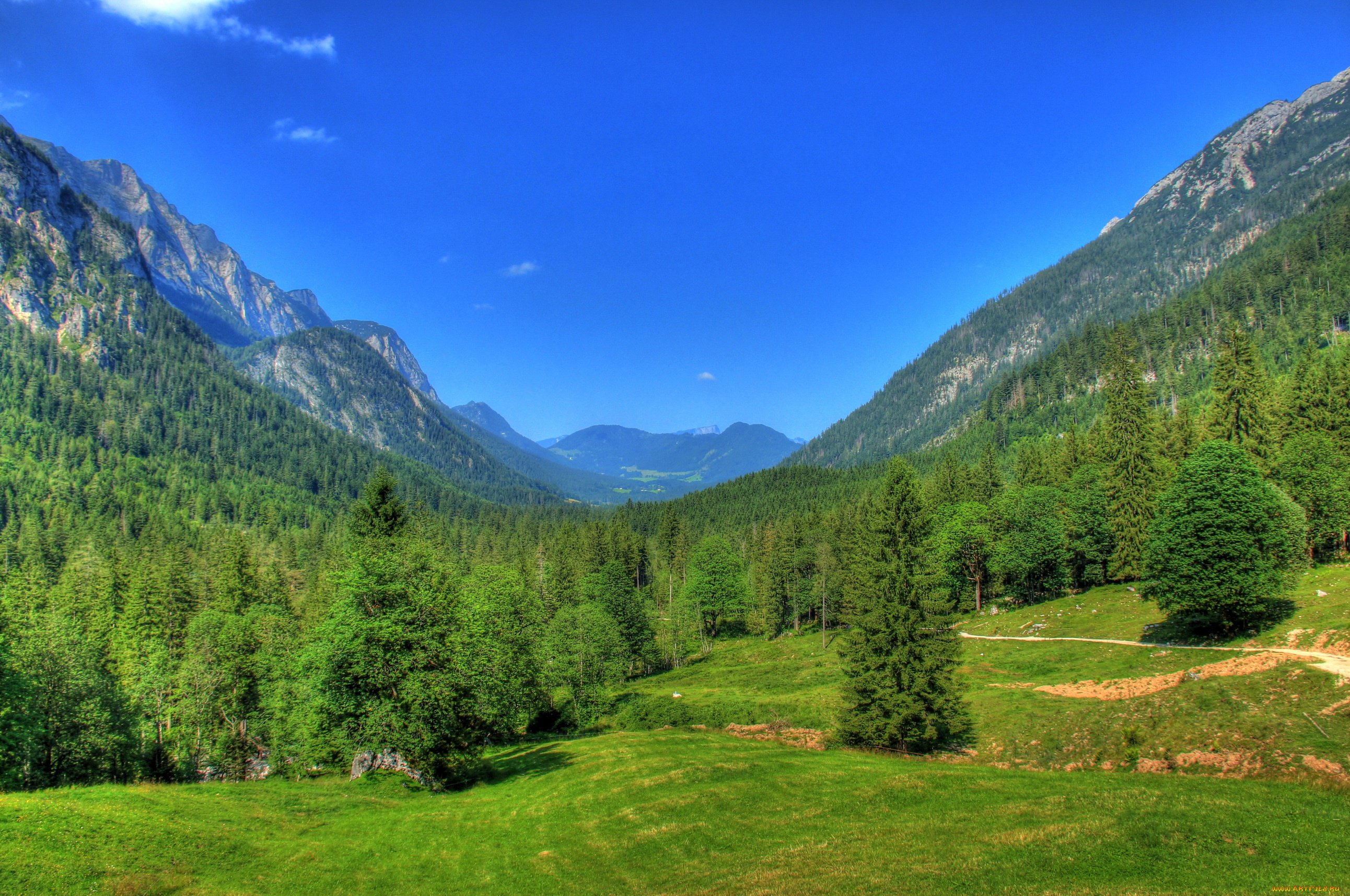 германия, бавария, природа, горы, лес, поляна