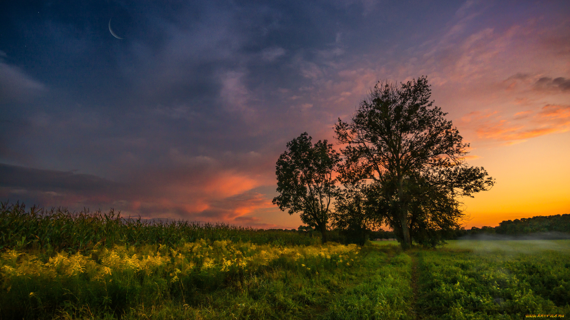 природа, пейзажи, простор