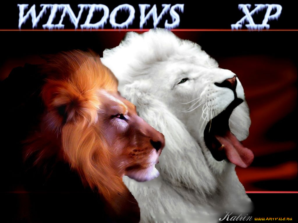 lions, remix, компьютеры, windows, xp