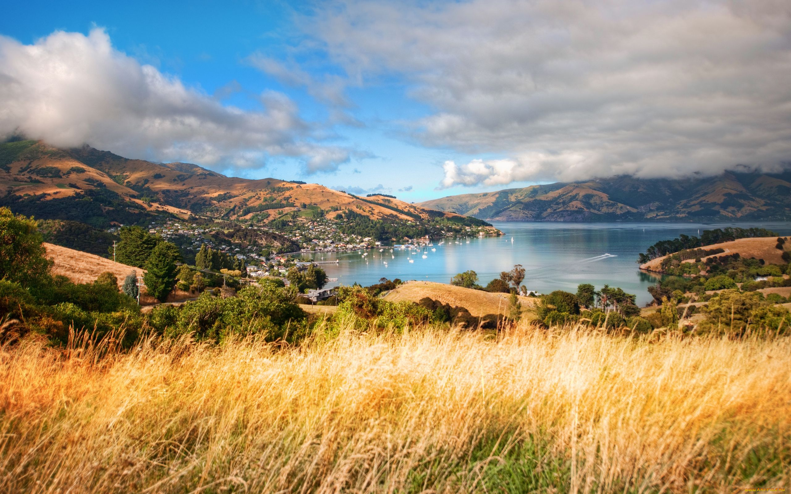 akaroa, new, zealand, природа, пейзажи