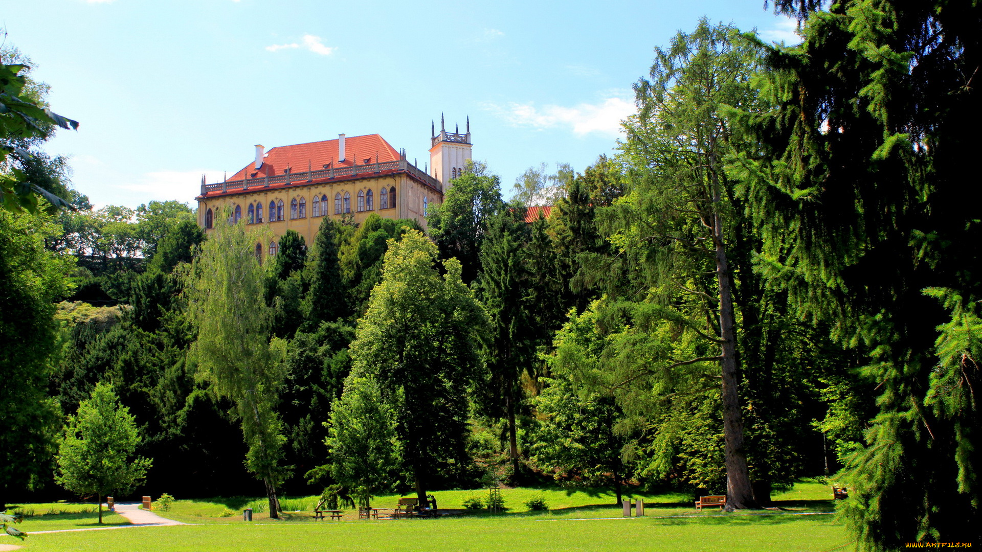 Чехия, прага, природа, парк, растения