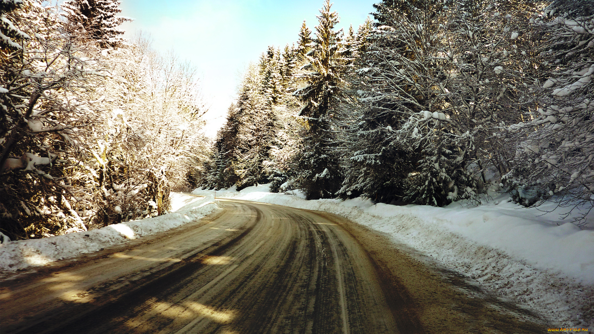 природа, дороги, лес, дорога, снег