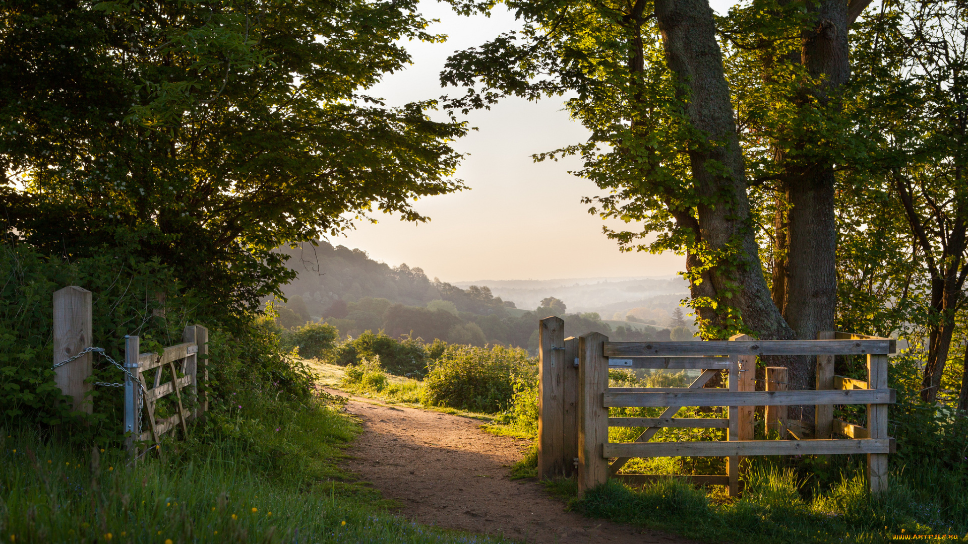 the, british, countryside, природа, дороги