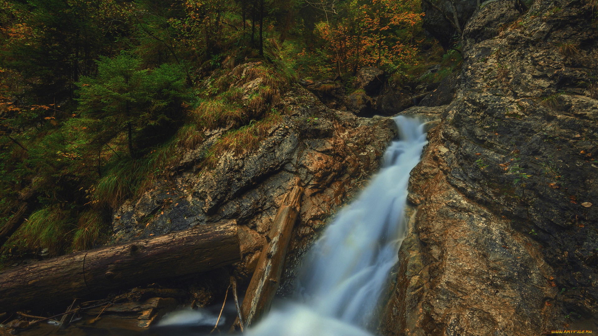 природа, водопады, лес, река, водопад