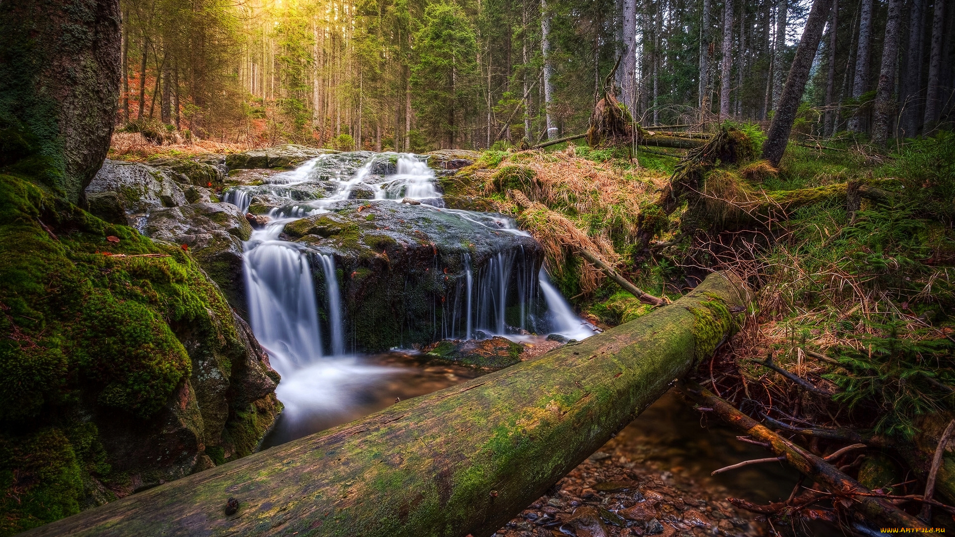 природа, водопады, водопад, река, лес