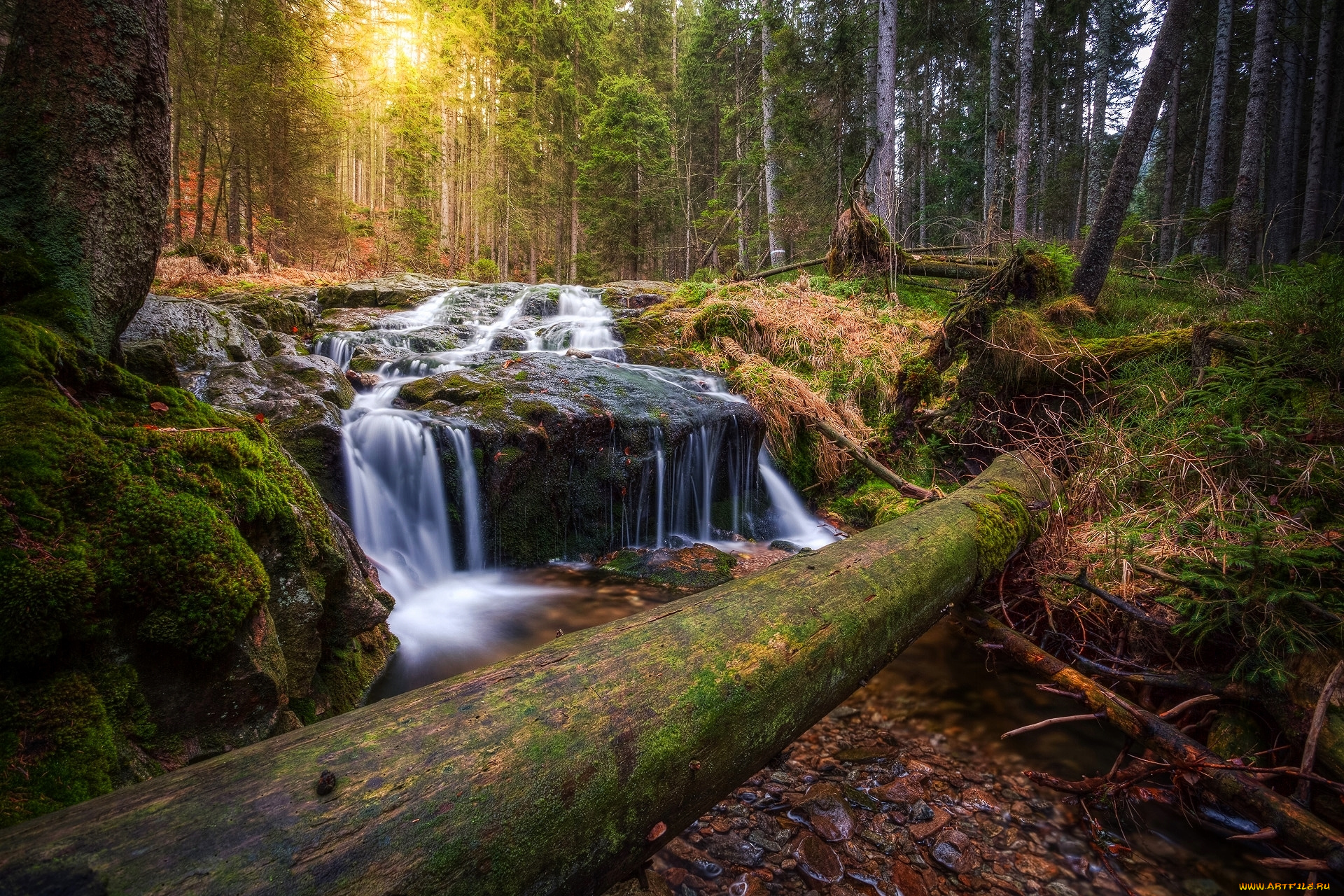 природа, водопады, водопад, река, лес