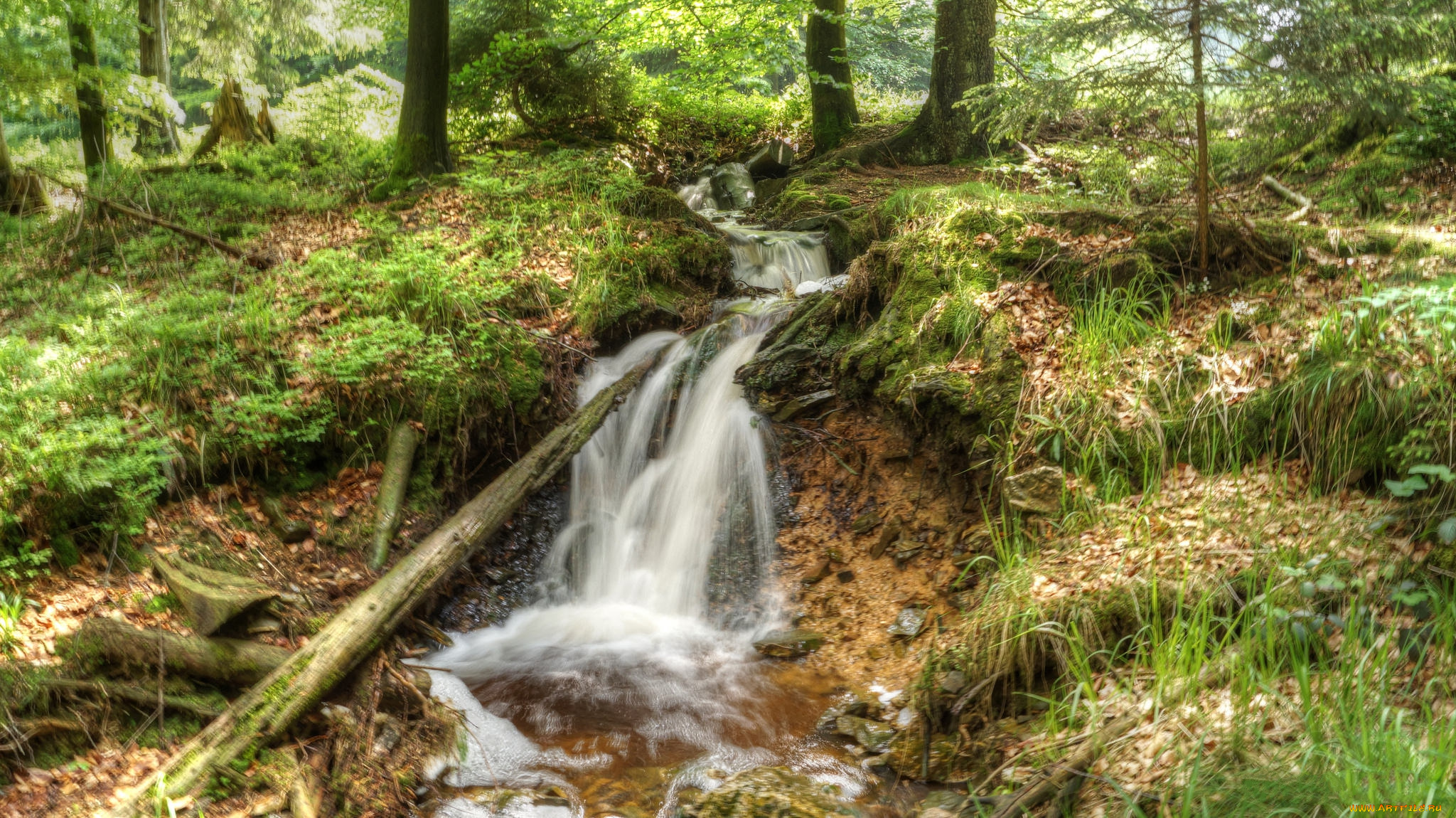 природа, водопады, река, водопад, лес