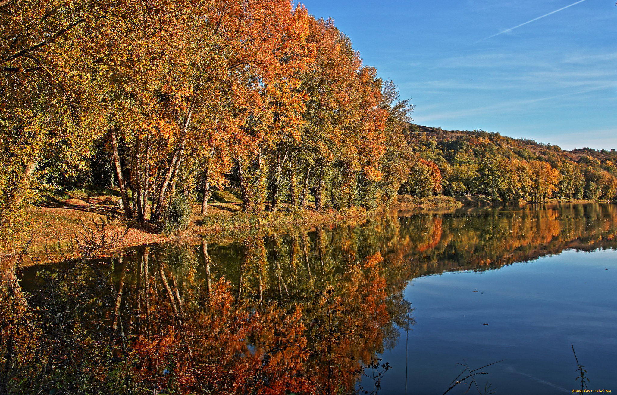 природа, реки, озера, лес, река