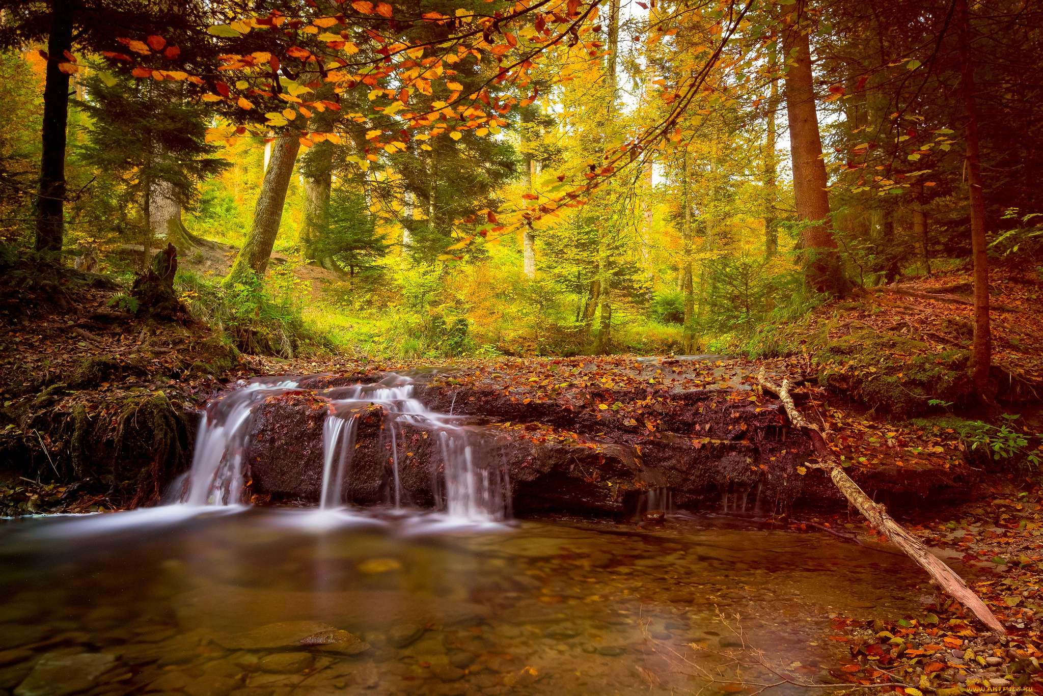 природа, водопады, водопад, река, лес