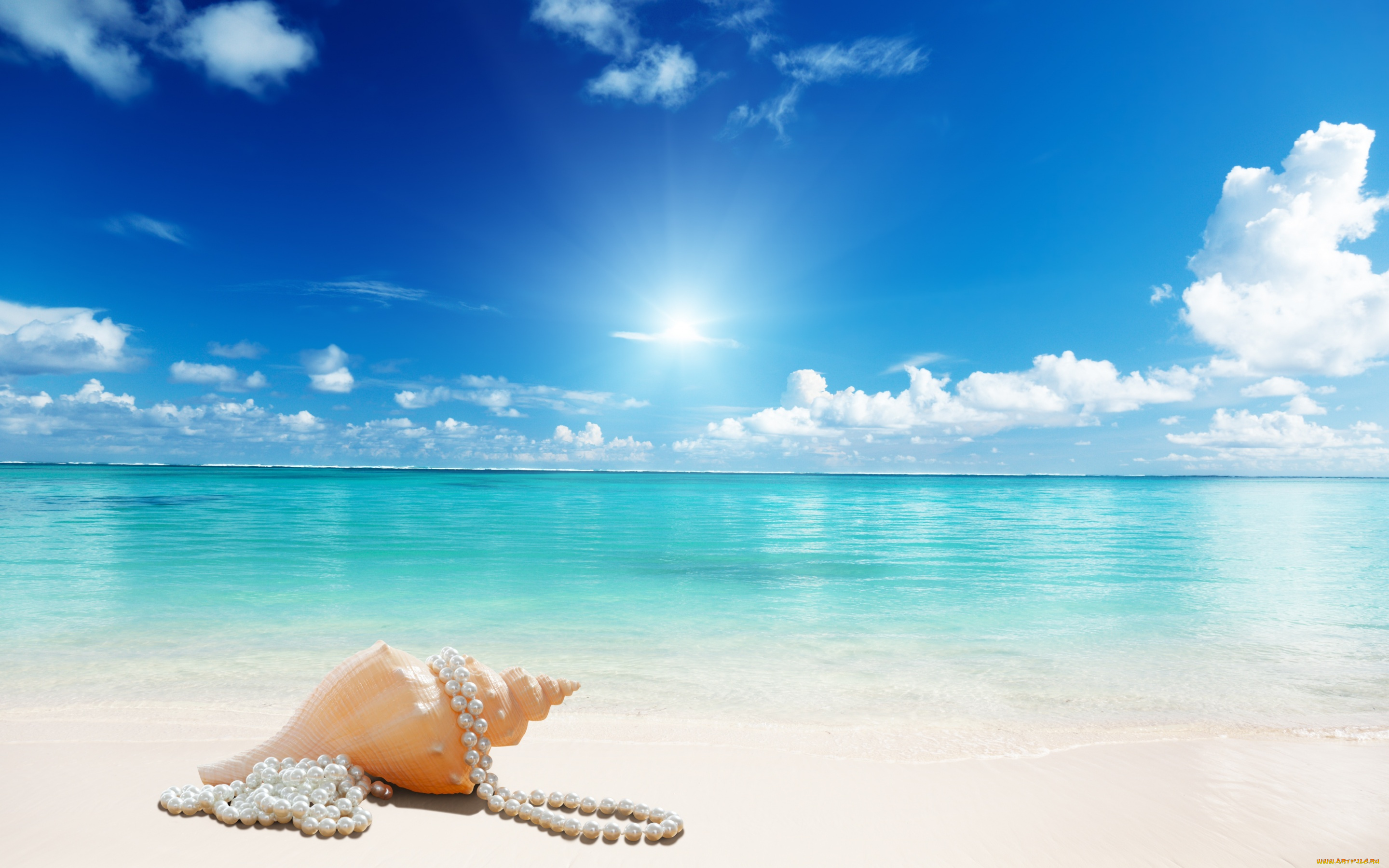 разное, ракушки, , кораллы, , декоративные, и, spa-камни, sea, beach, sand, seashell, sunshine