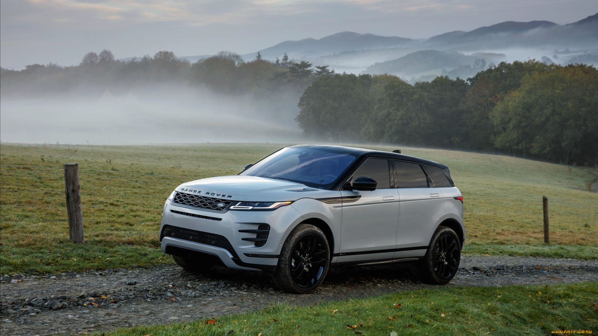 2019, range, rover, evoque, автомобили, range, rover, природа, рэндж, ровер, белый, полноприводный, люкс, внедорожник, land, rover, range, evoque