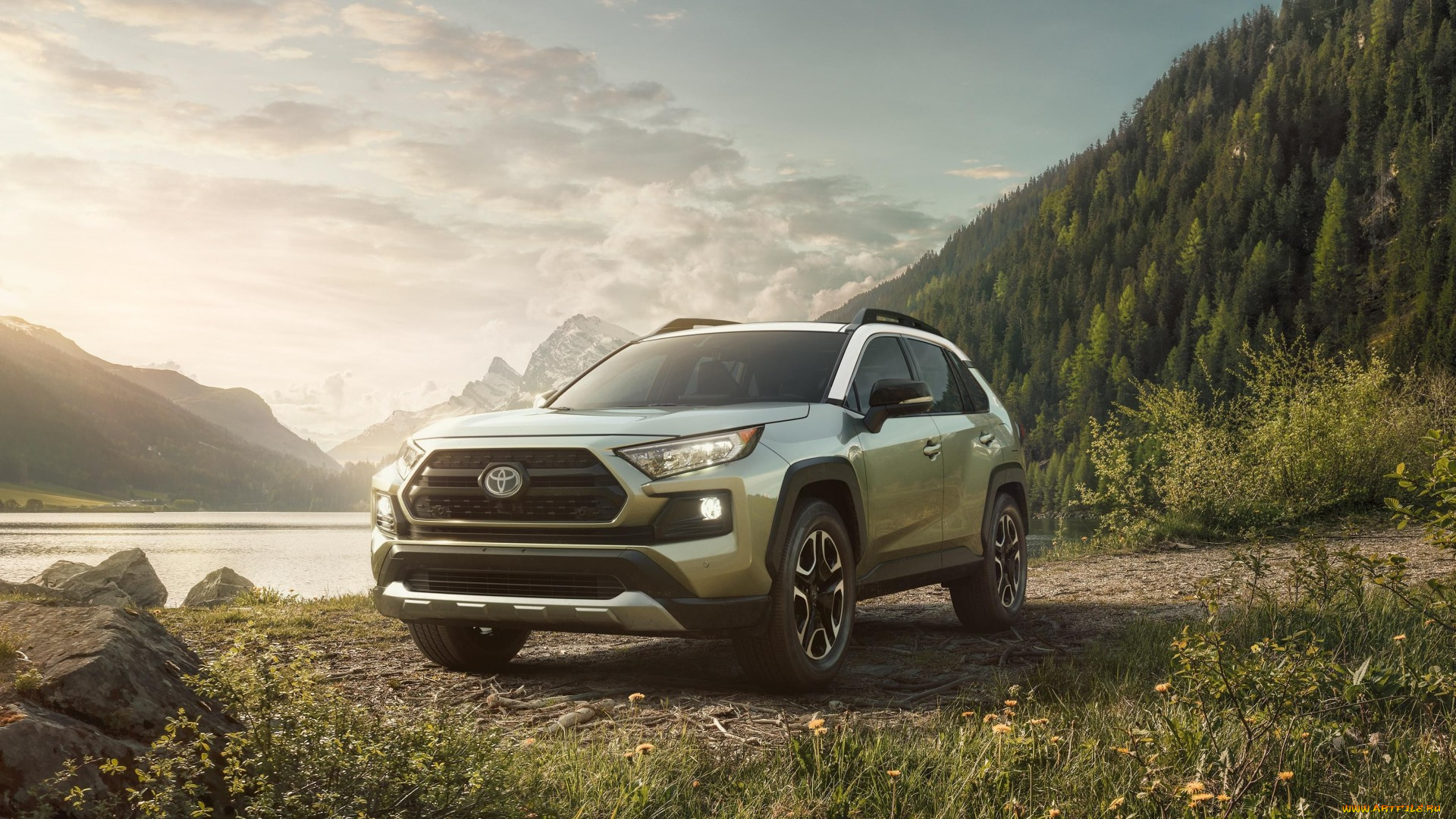 2019, toyota, rav4, автомобили, toyota, природа, кроссовер, тойота, 2019, rav4