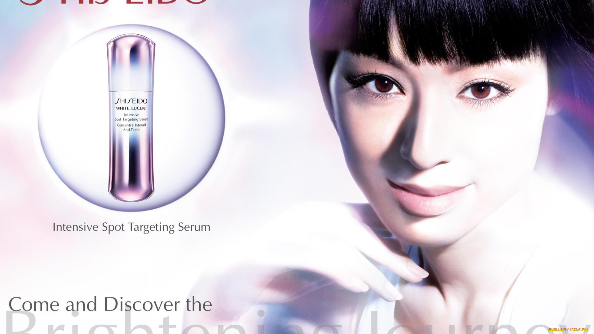shiseido, бренды, white, lucent