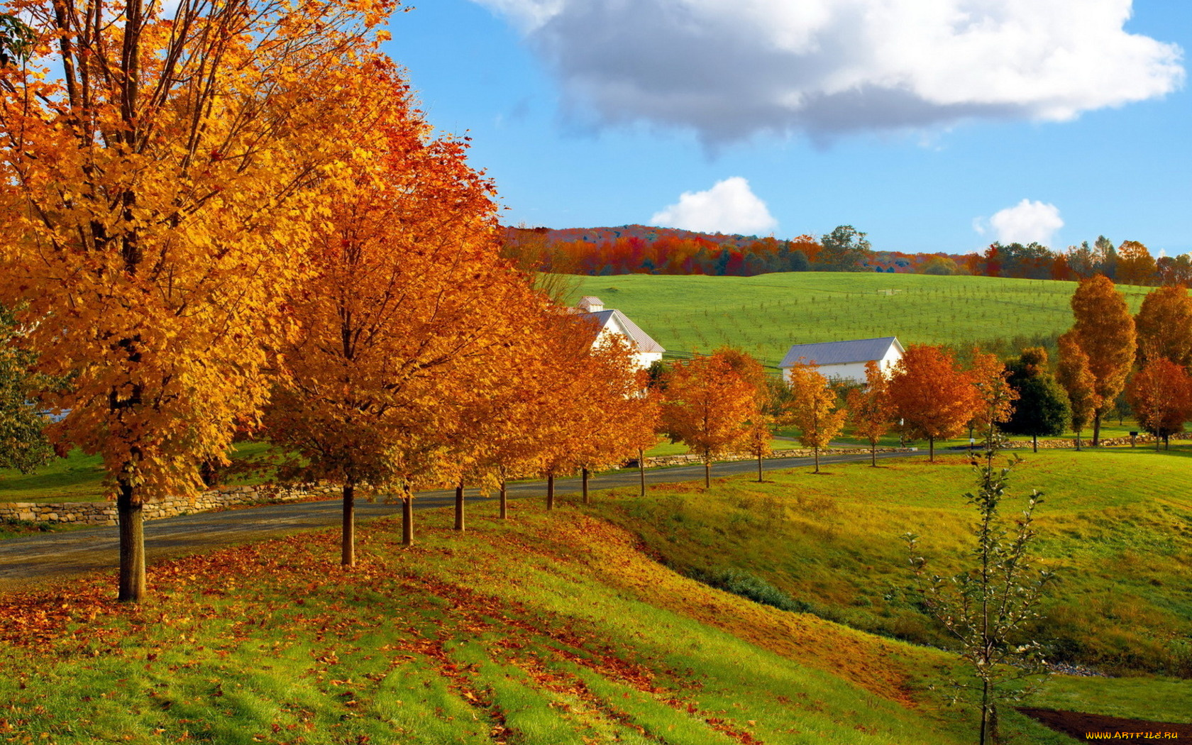 природа, поля, листья, дома, деревня, деревья, осень