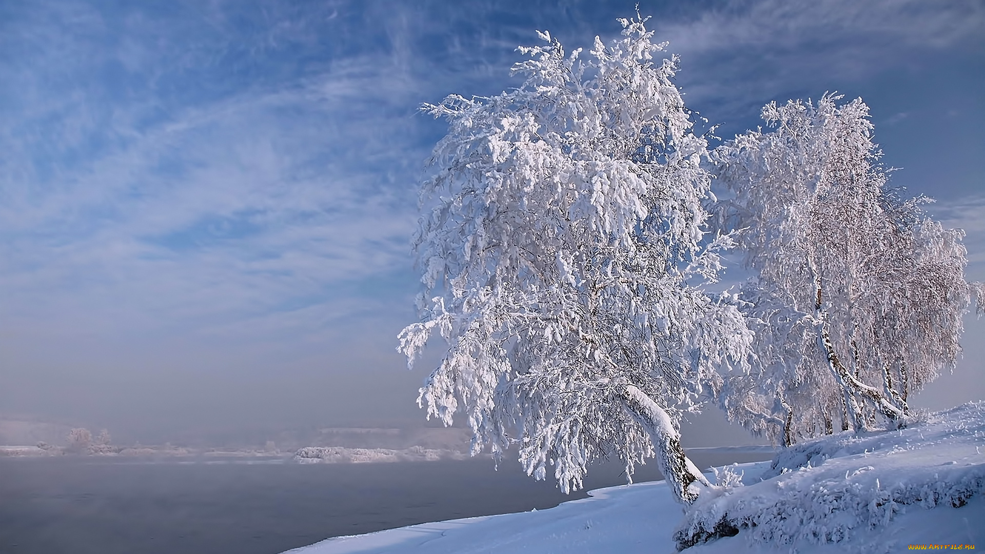 природа, зима, березы, снег, облака