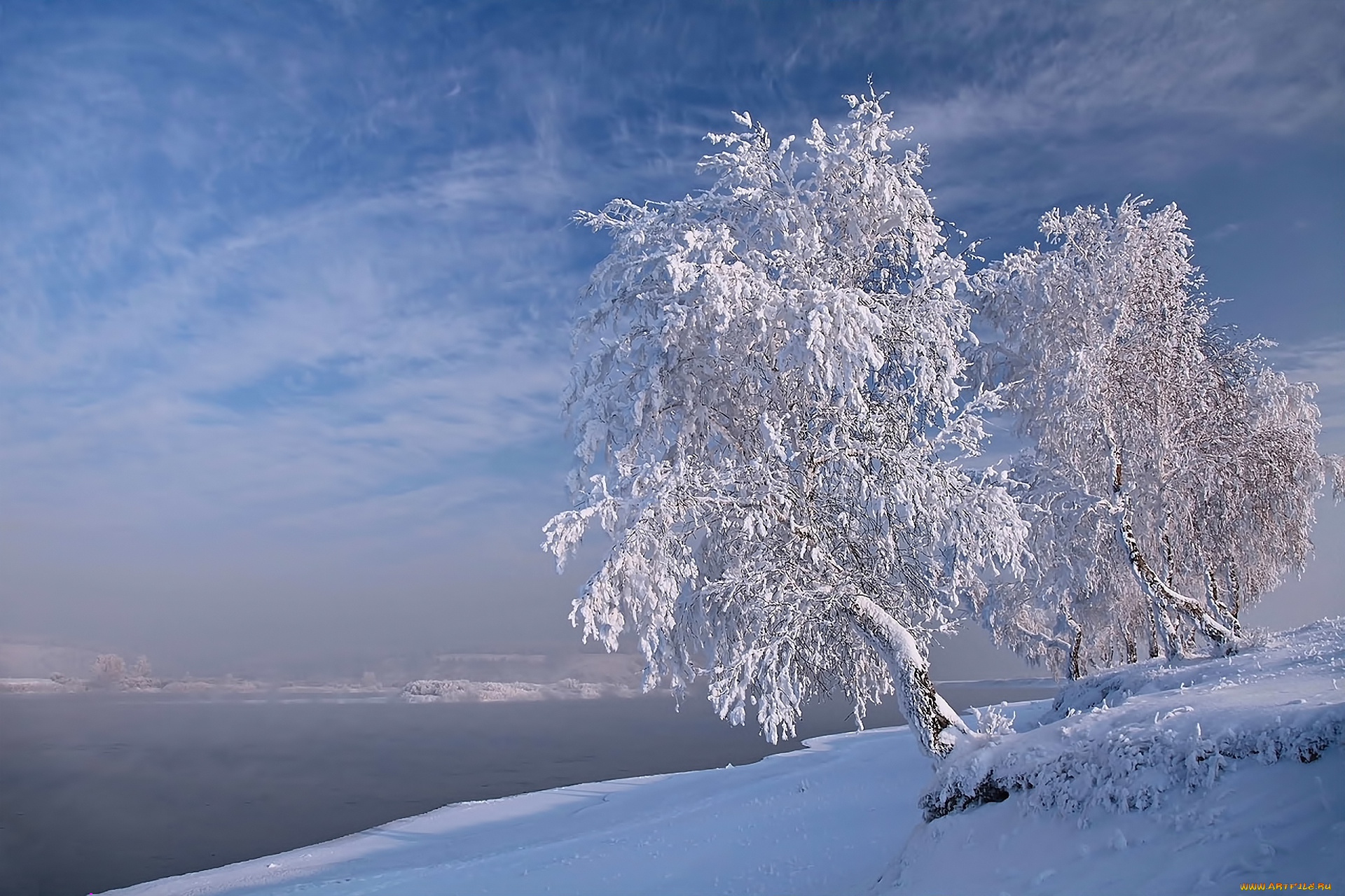 природа, зима, березы, снег, облака