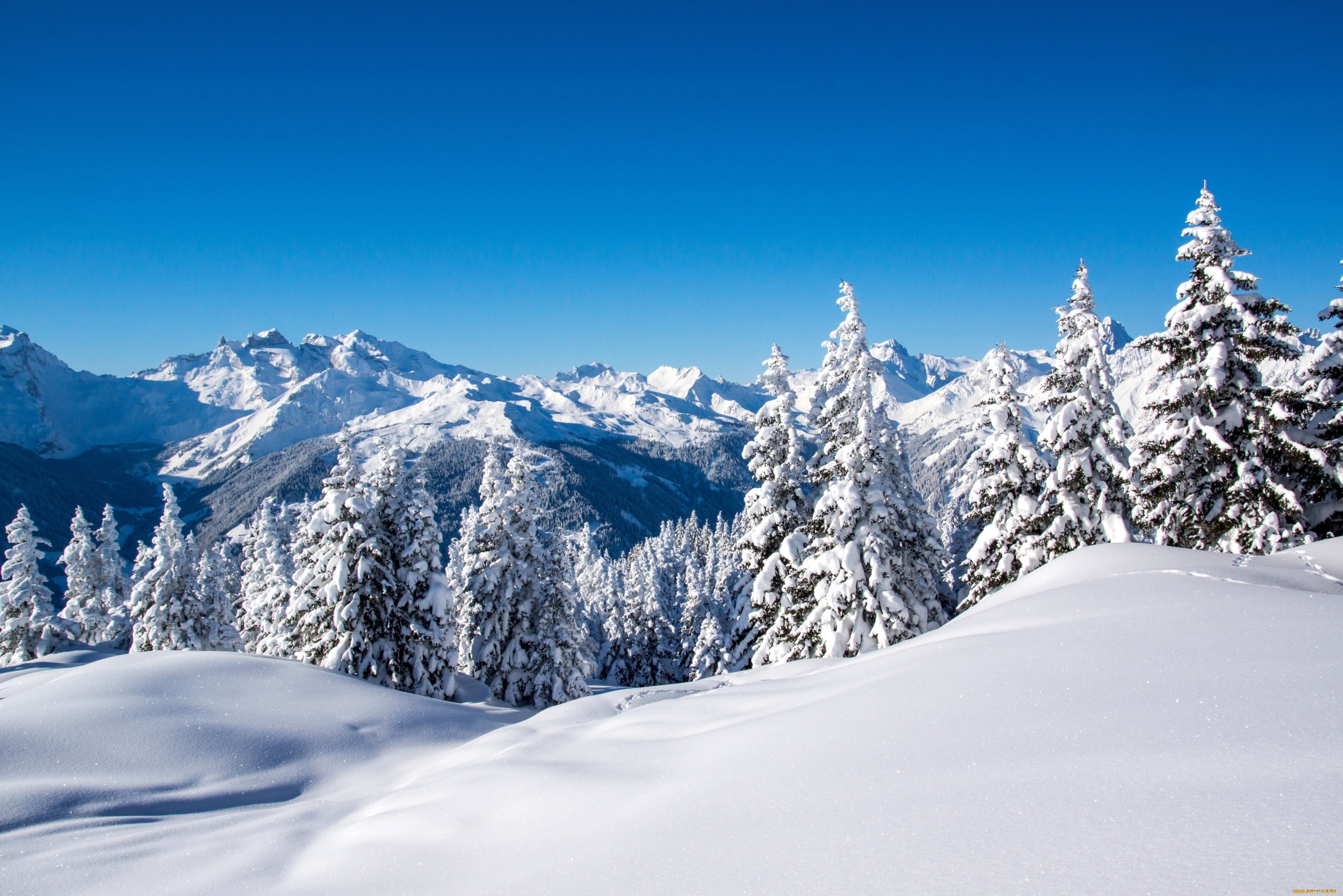 природа, зима, горы, снег, деревья