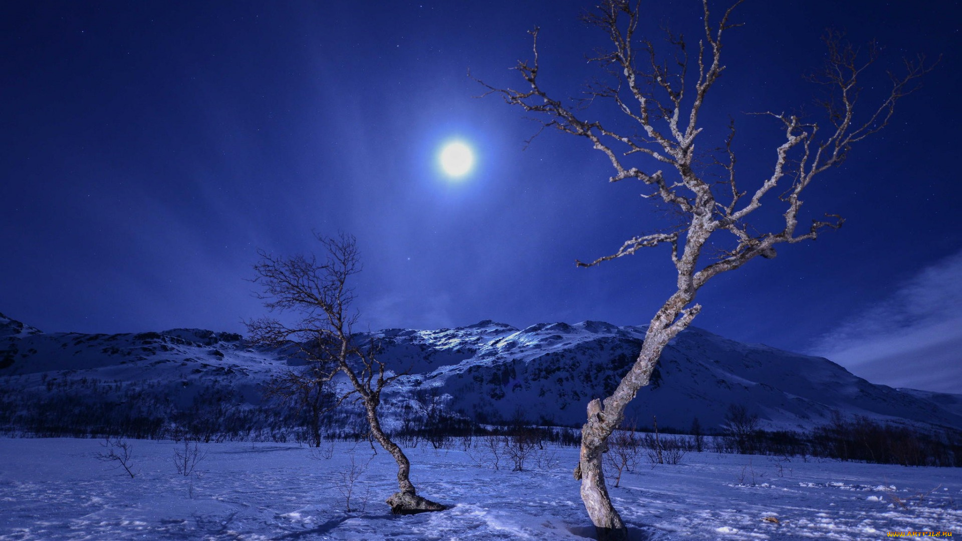 природа, зима, горы, ночь, снег, деревья, луна