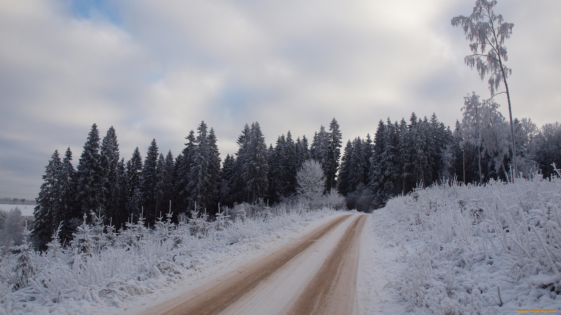 природа, дороги, снег, деревья, дорога, зима, небо