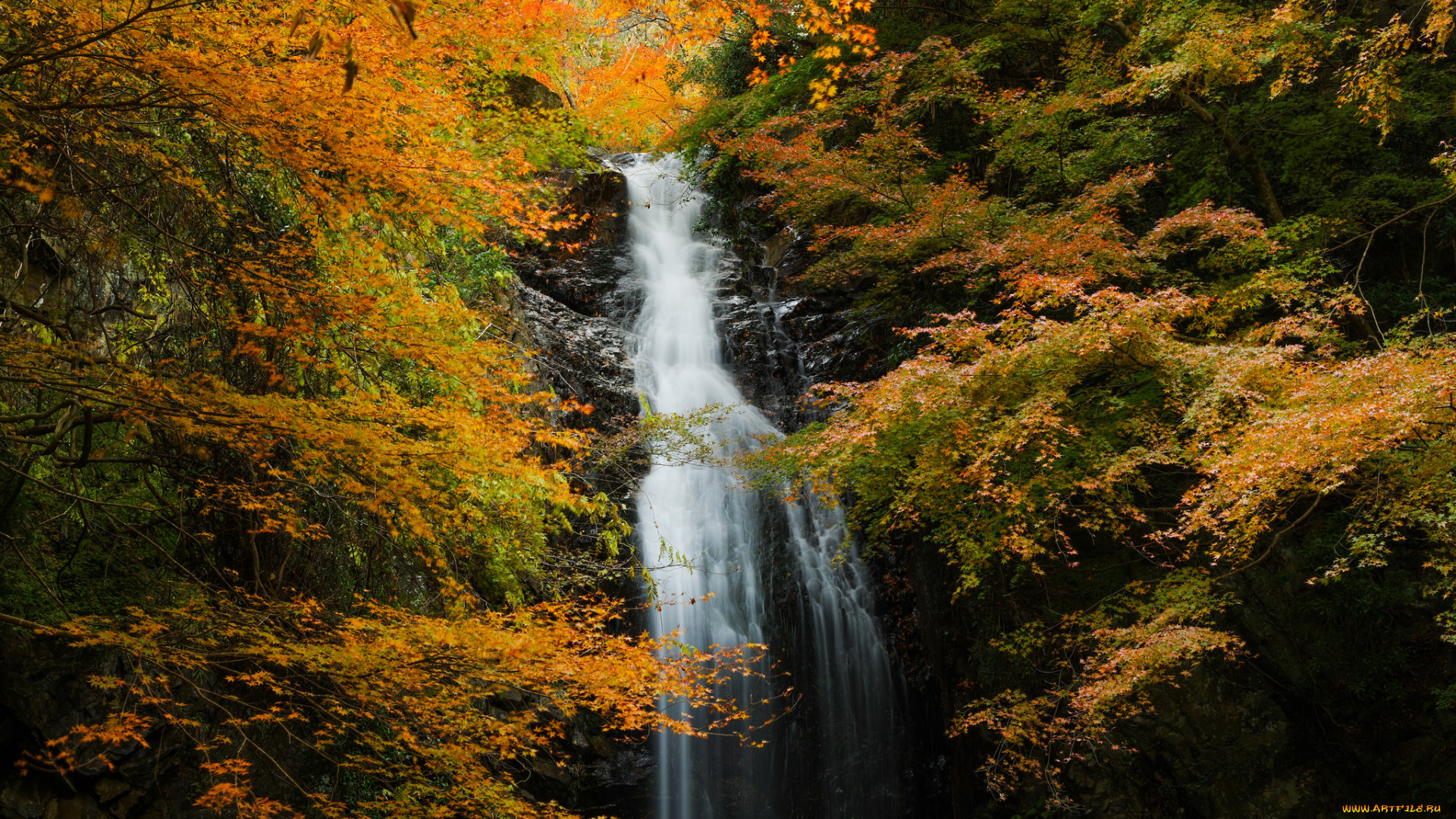 природа, водопады, поток, лес, осень, скала, водопад