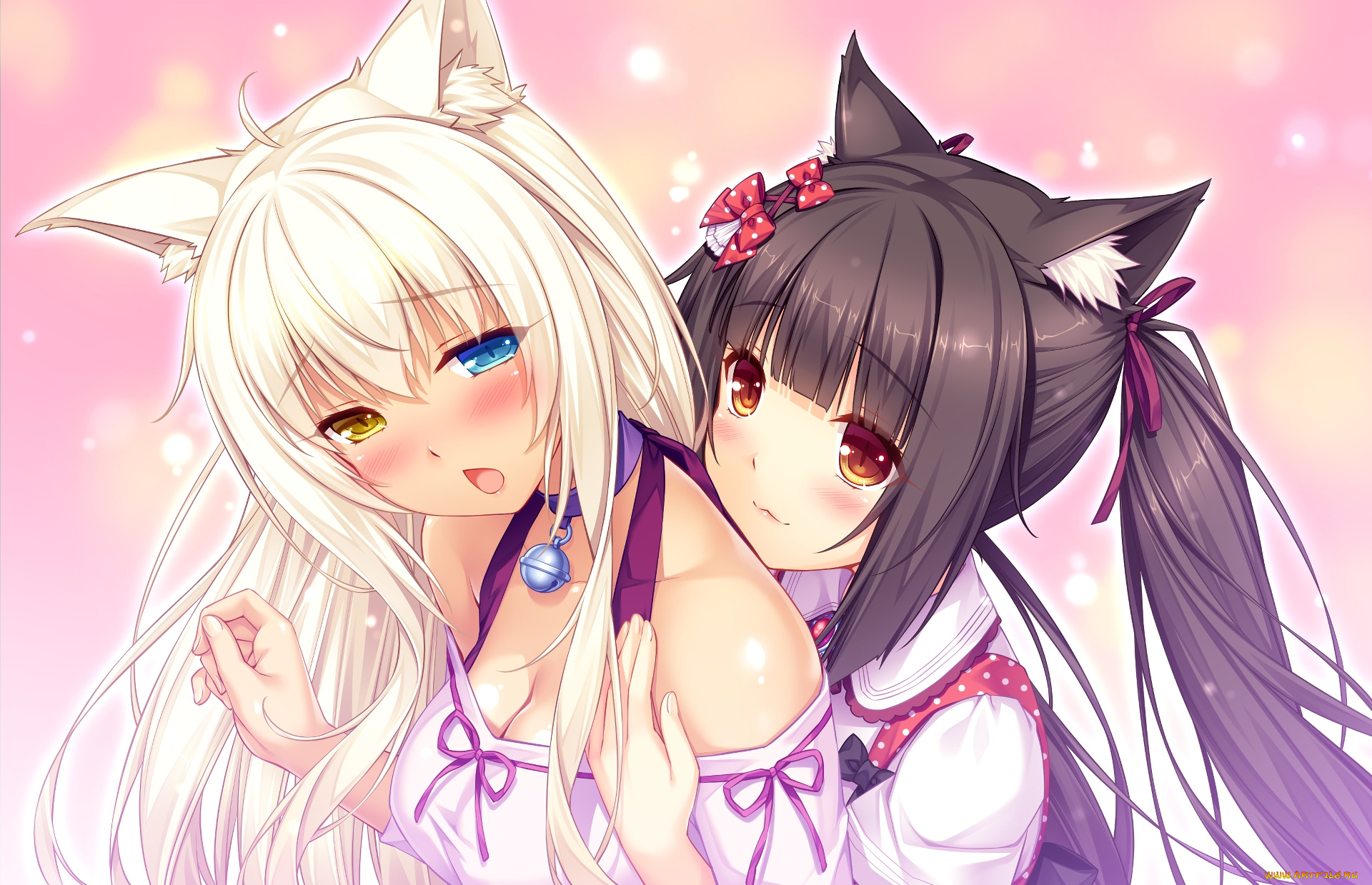 аниме, nekopara, некопара