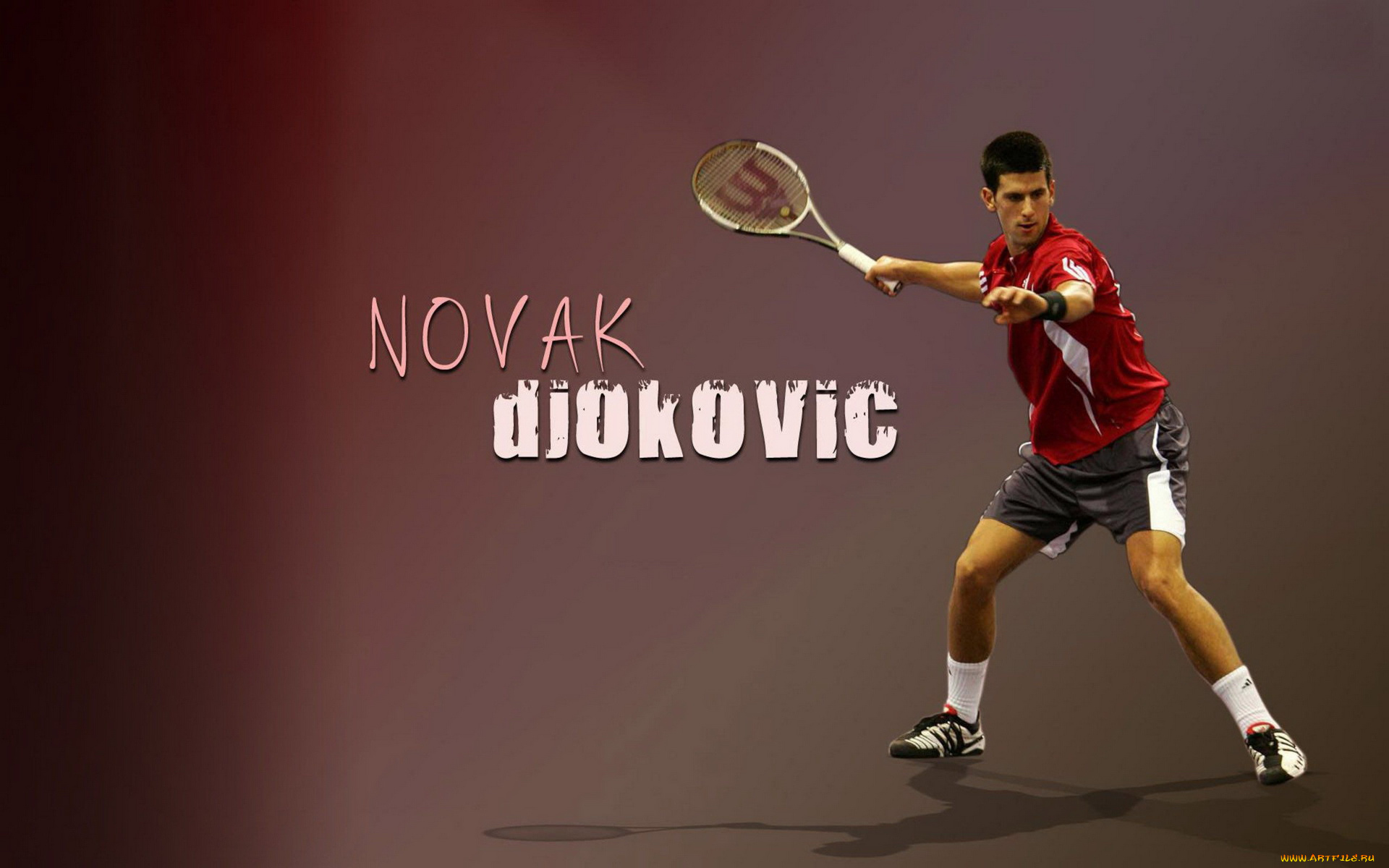 спорт, теннис, novak, djokovic