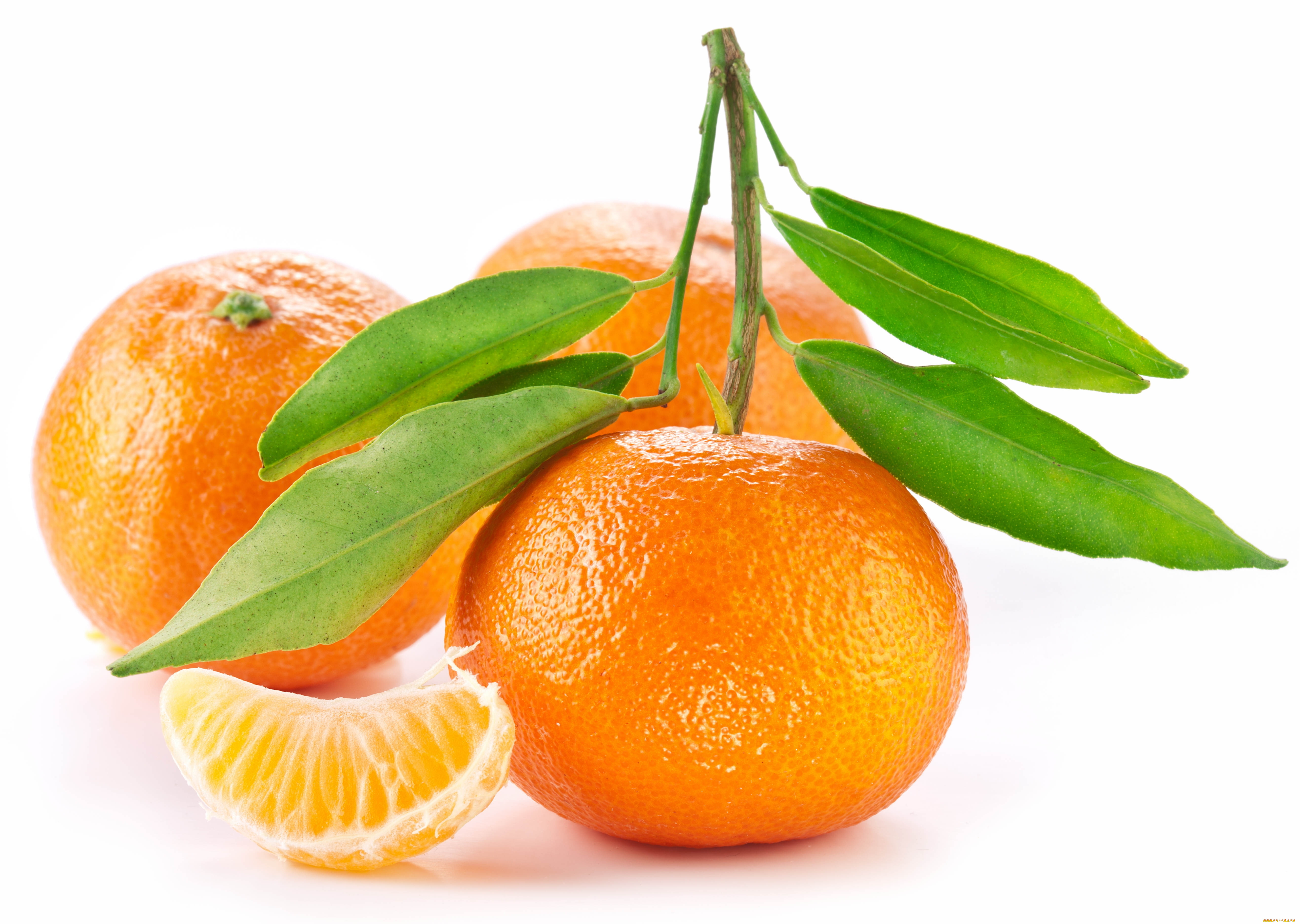 еда, цитрусы, апельсин