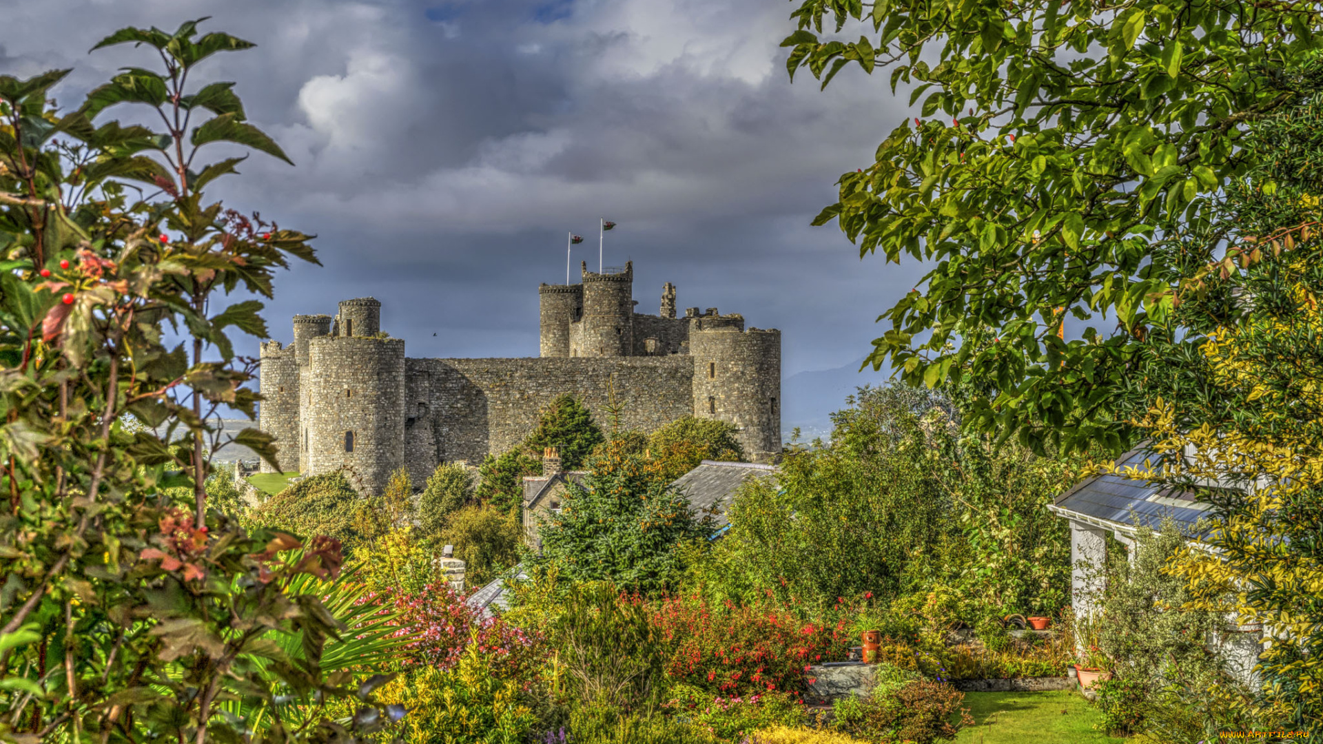 harlech, castle, города, -, дворцы, , замки, , крепости, стены, замок, башни